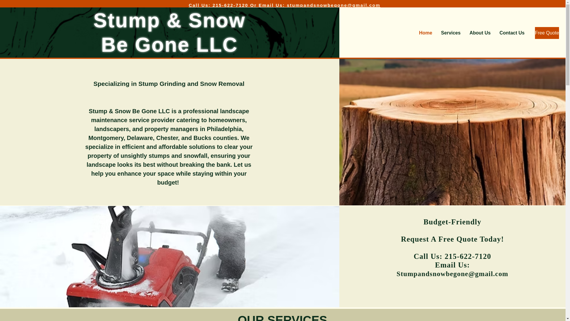 website screenshot of https://stumpandsnowbegone.com/