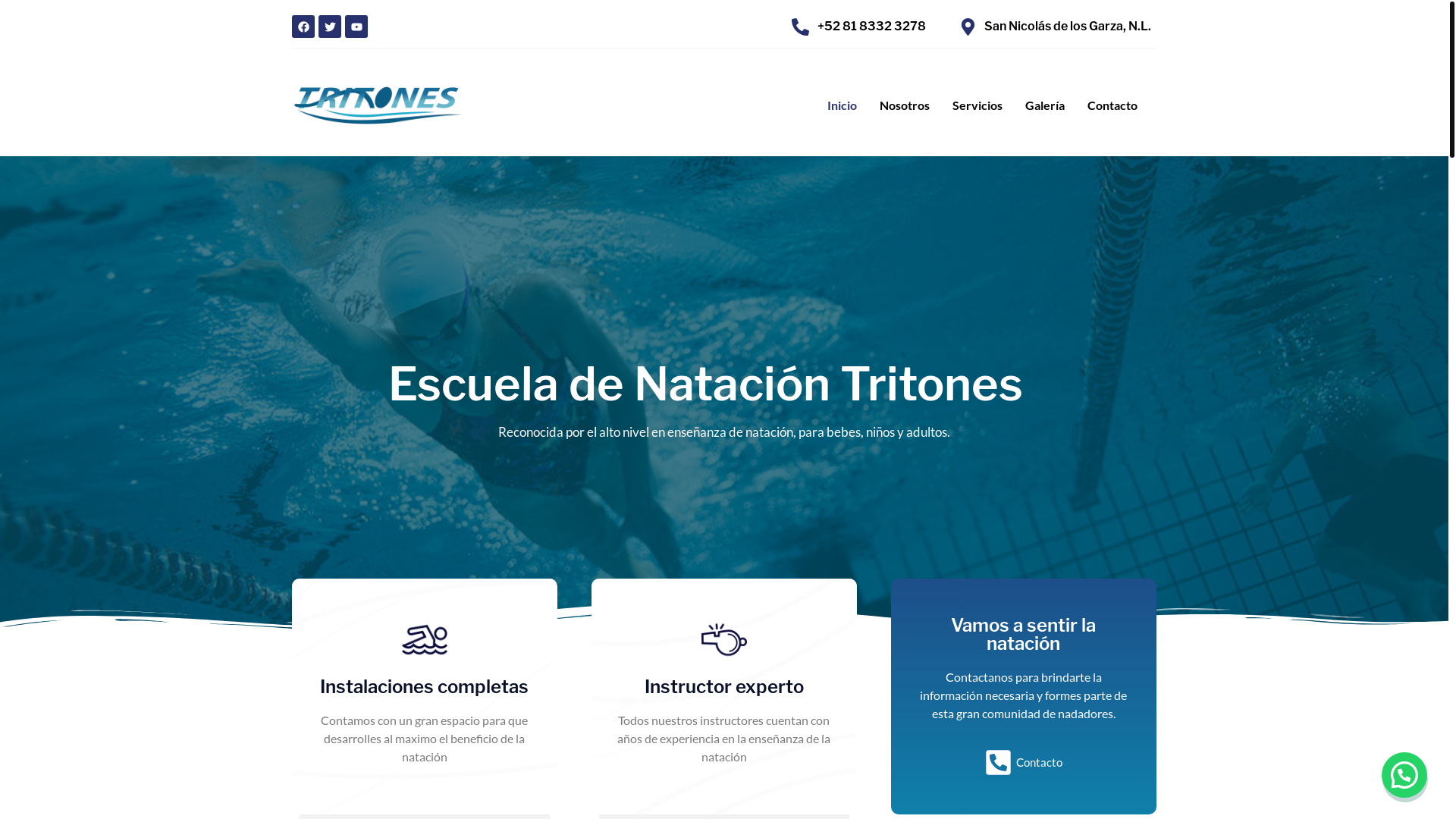 website screenshot of https://tritonesescueladenatacion.com/