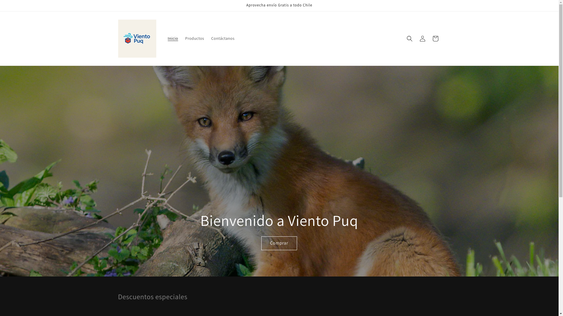 website screenshot of https://vientopuq.com/