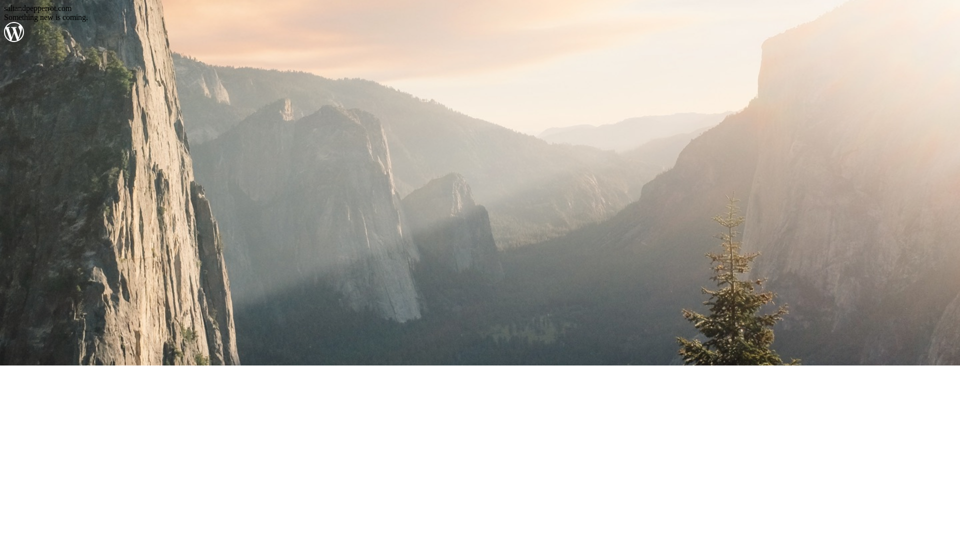 website screenshot of https://saltandpepperrot.com/