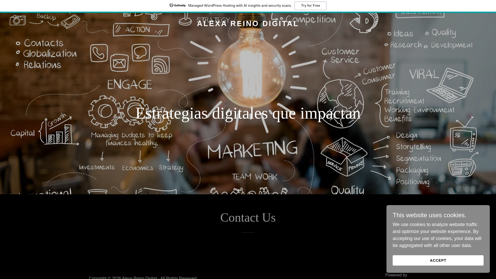 website screenshot of https://alexareinodigital.com/