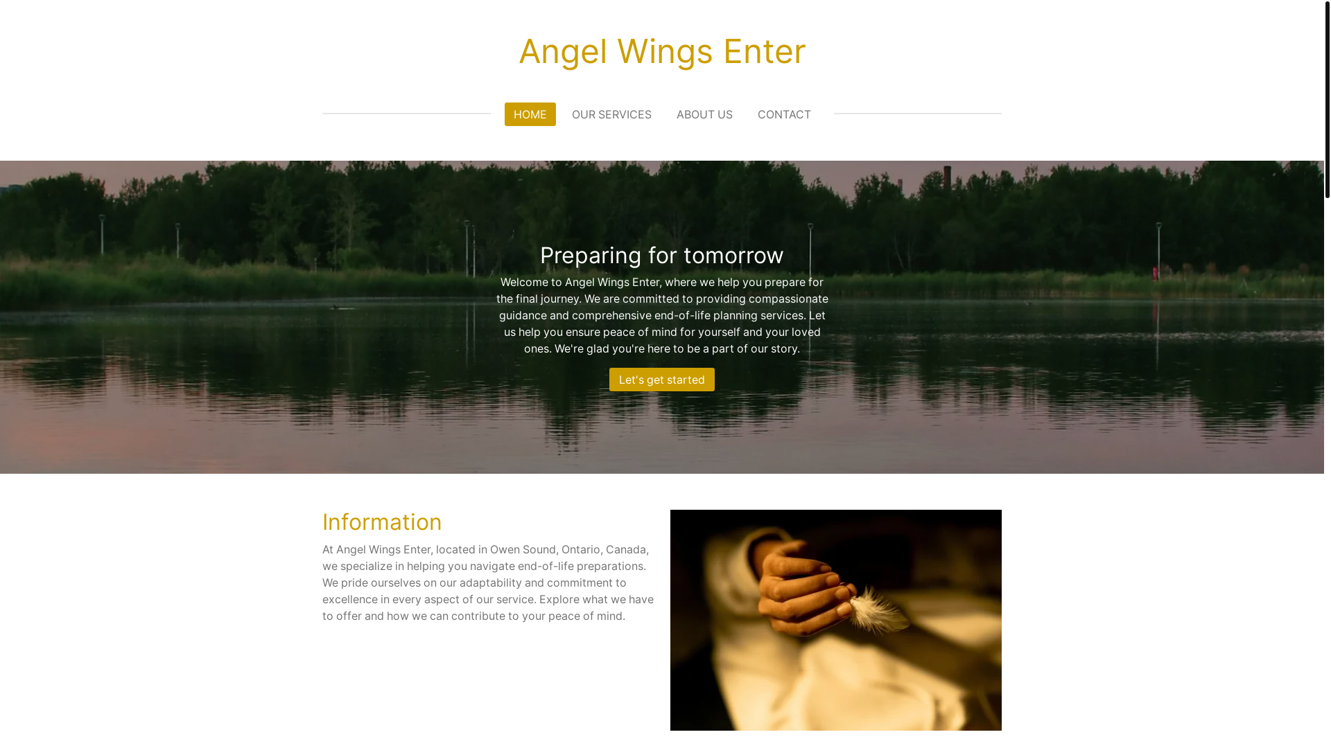 website screenshot of https://angelwingsenter.com/