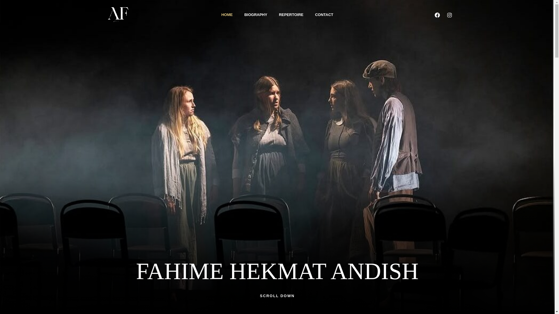 website screenshot of https://fahimehhekmatandish.com/