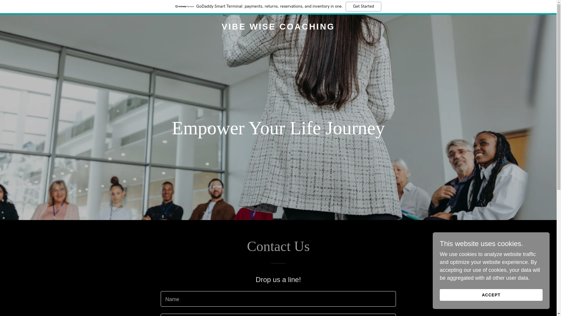 website screenshot of https://vibewisecoaching.com/