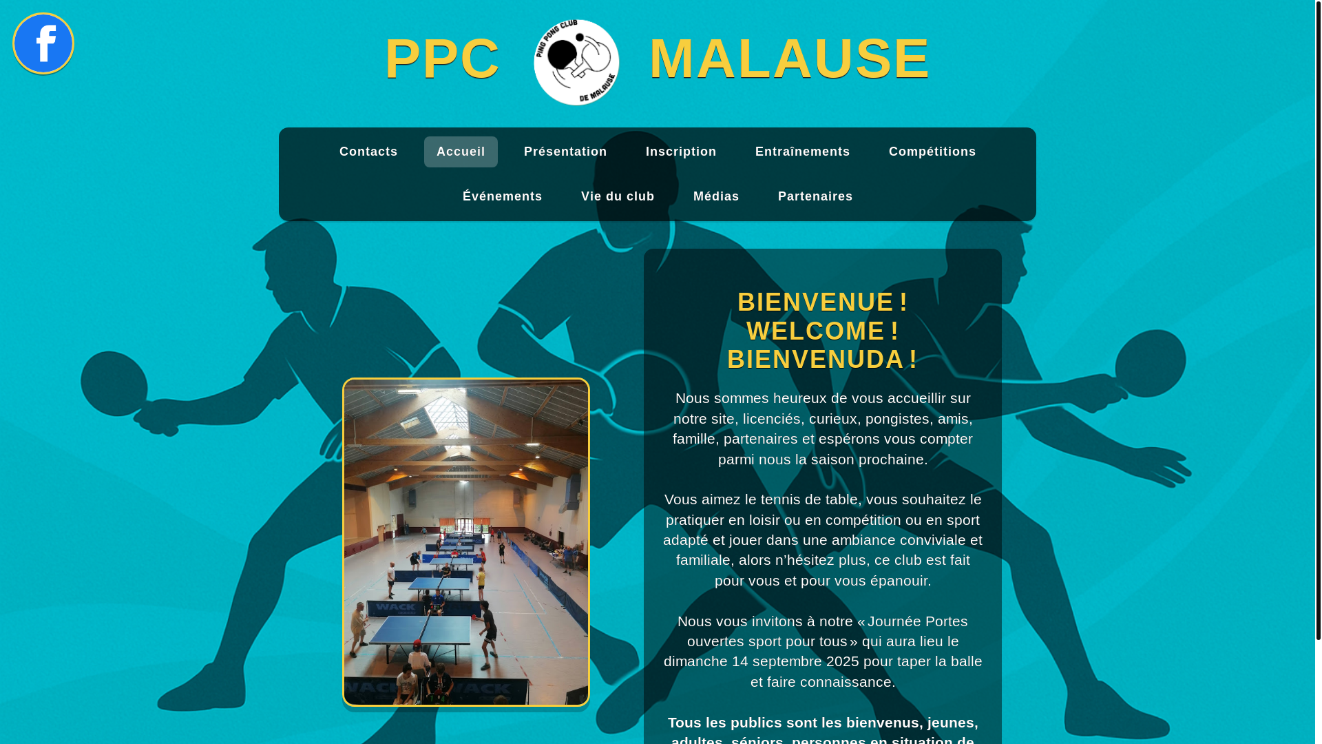website screenshot of https://ppmalause.fr/