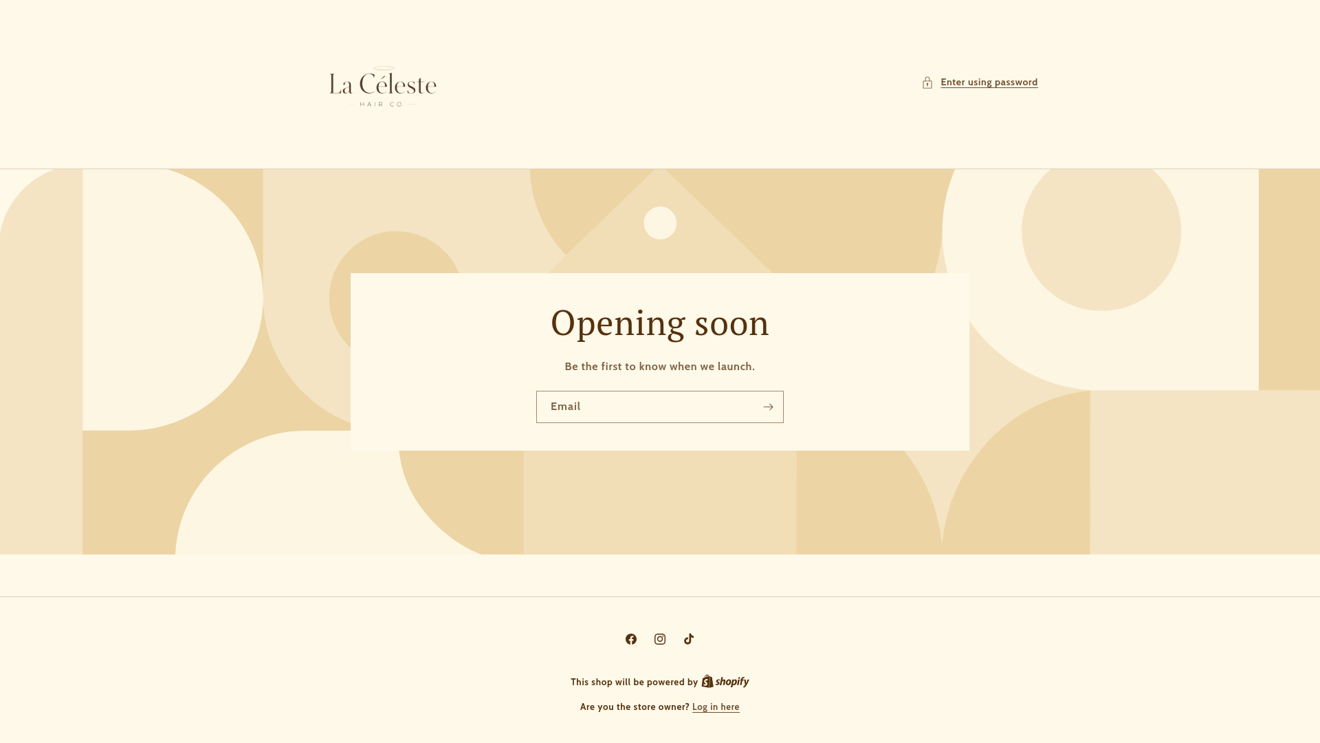website screenshot of https://lacelestehair.com