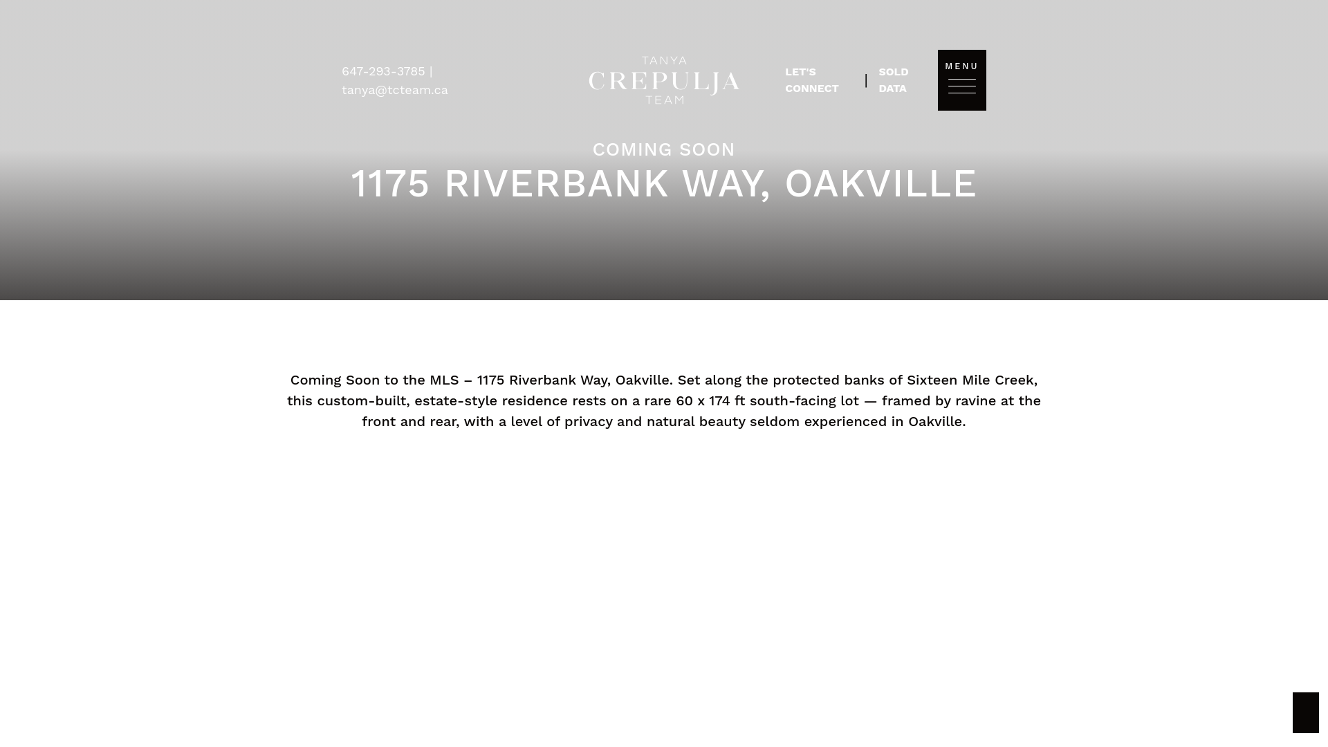 website screenshot of https://1175riverbankway.com/