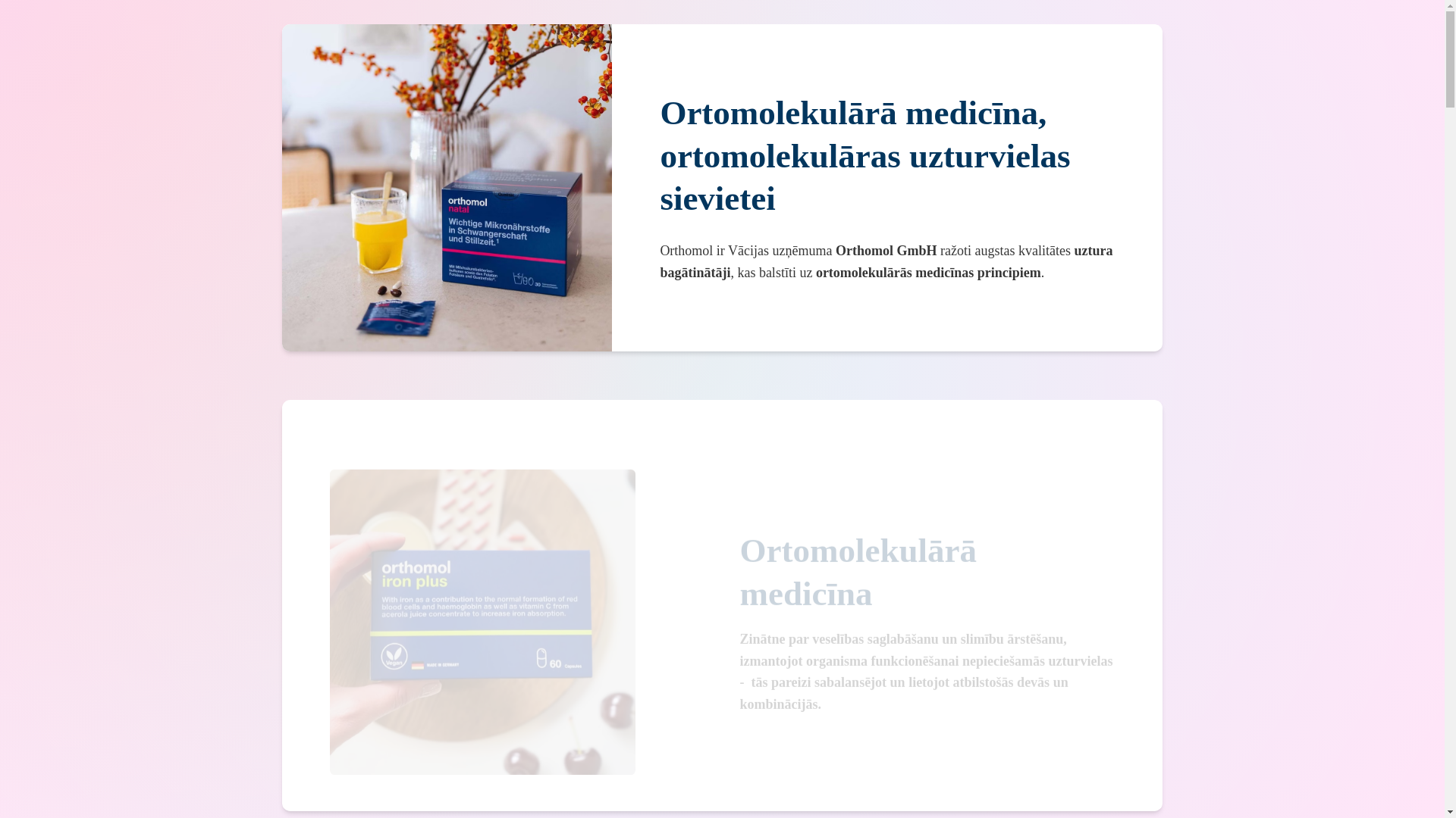 website screenshot of https://gardenstrita.lv/