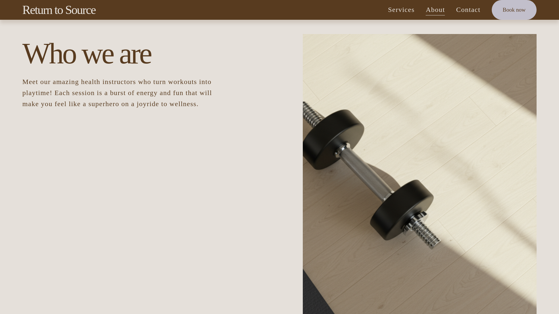 website screenshot of https://returntosource.info/