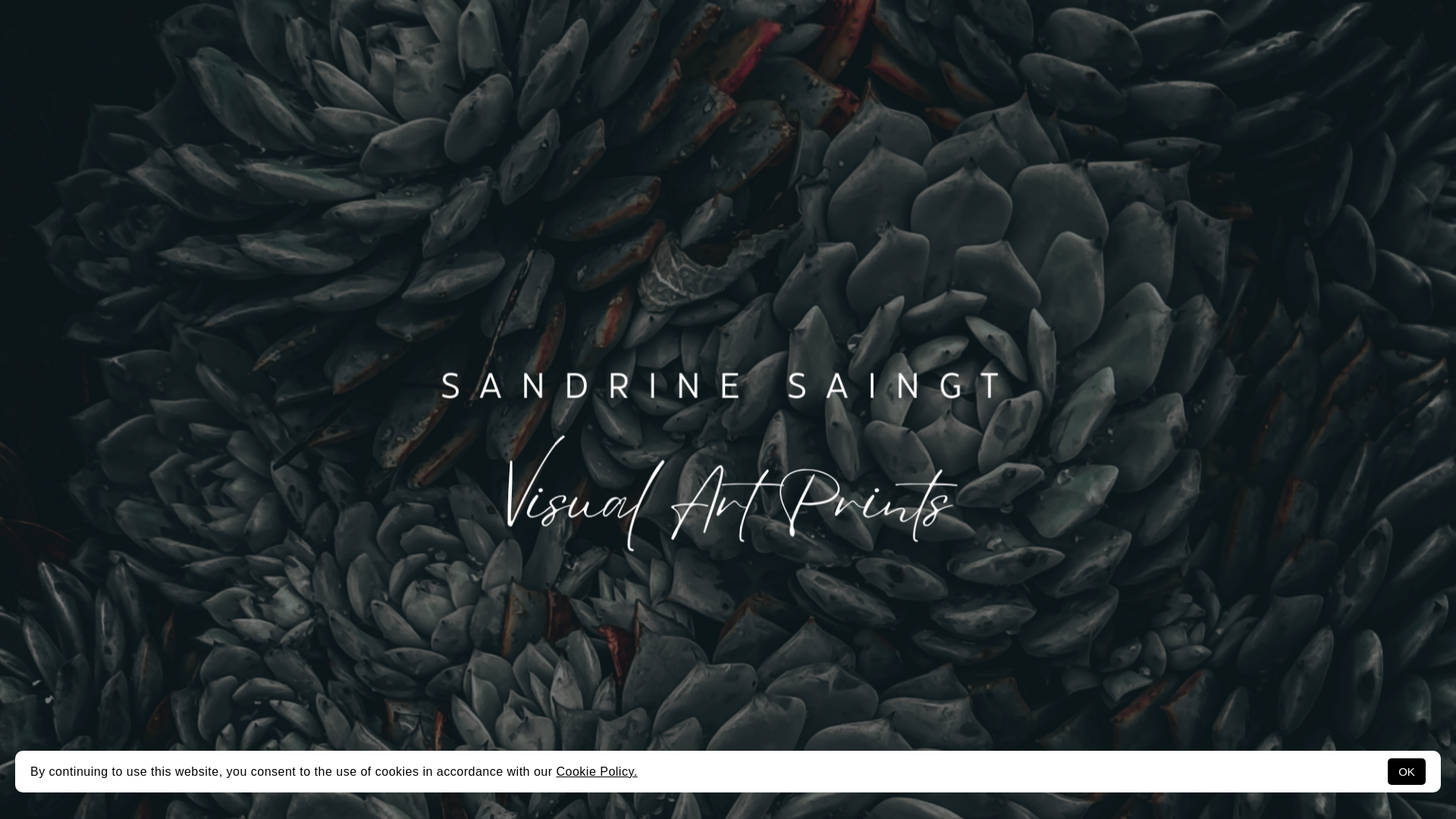 website screenshot of https://sandrinesaingt.fr