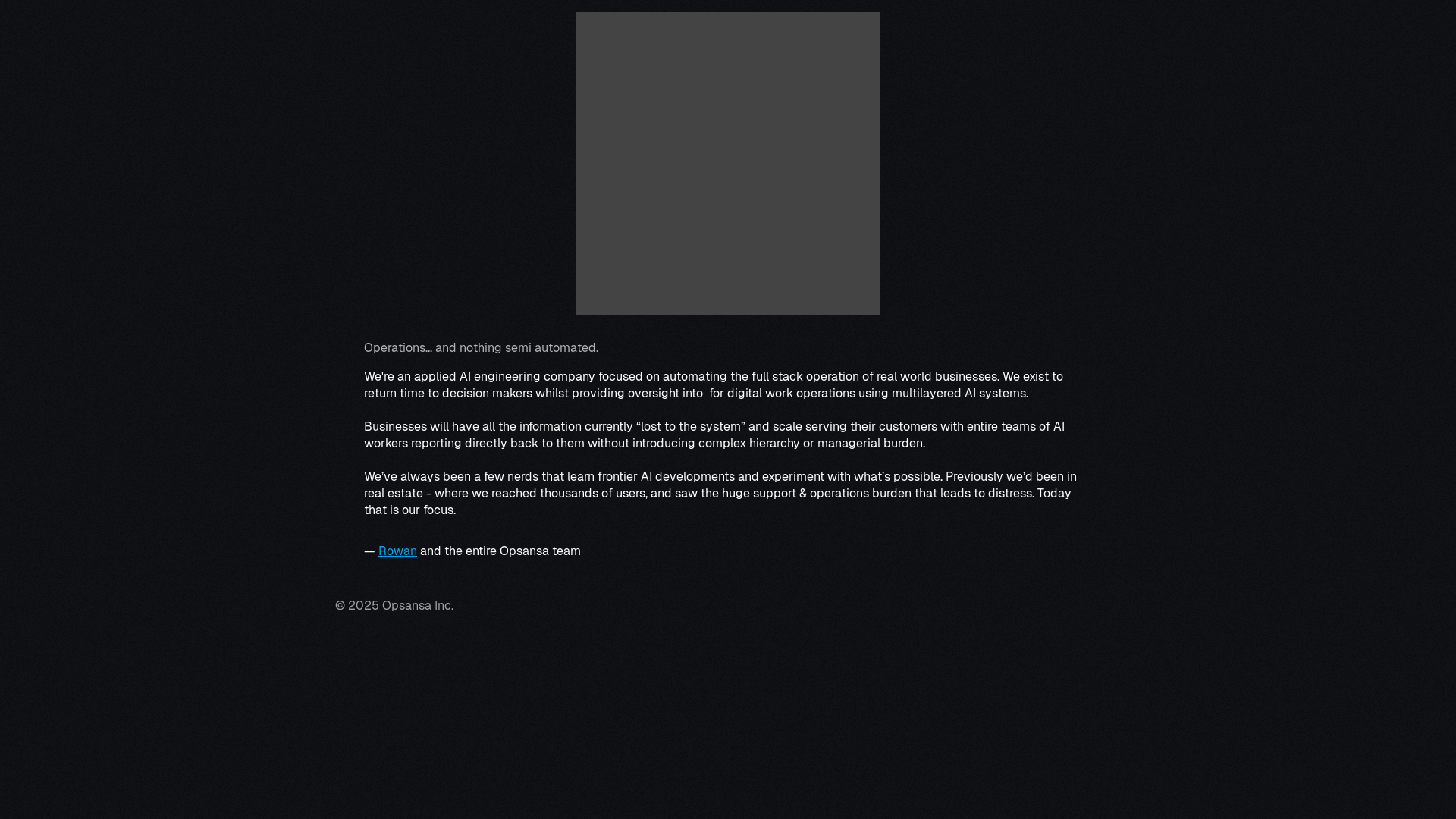 website screenshot of https://opsansa.com/