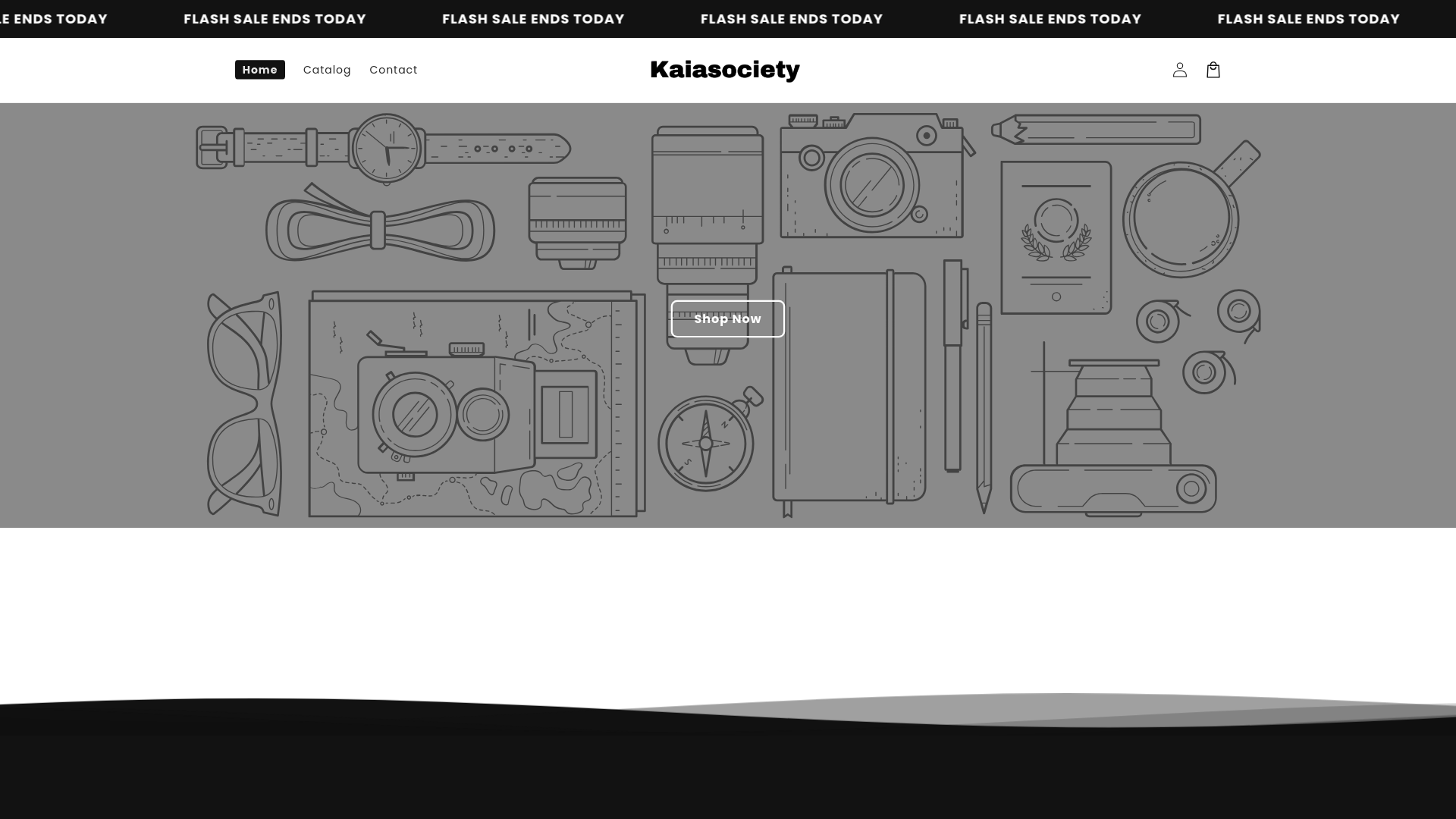 website screenshot of https://kaiasociety.com/