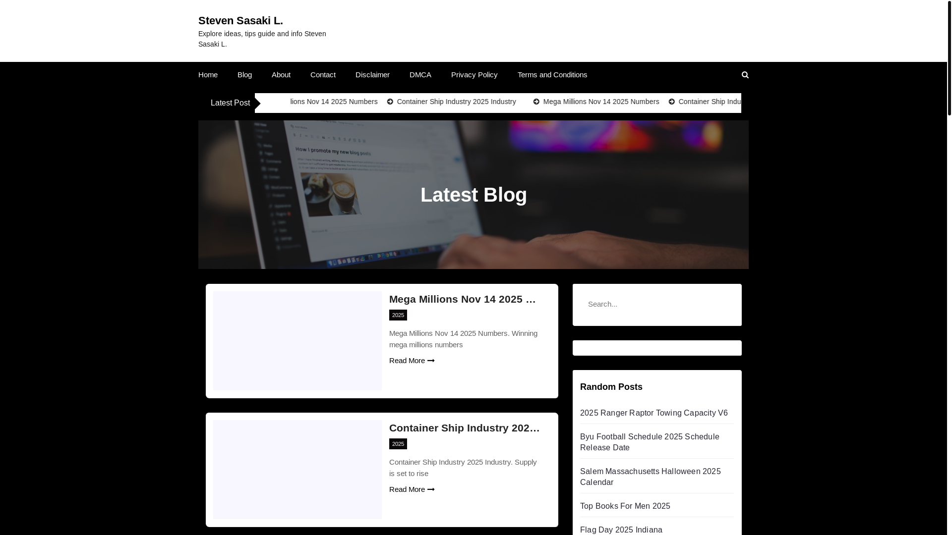 website screenshot of https://stevensasakil.pages.dev/