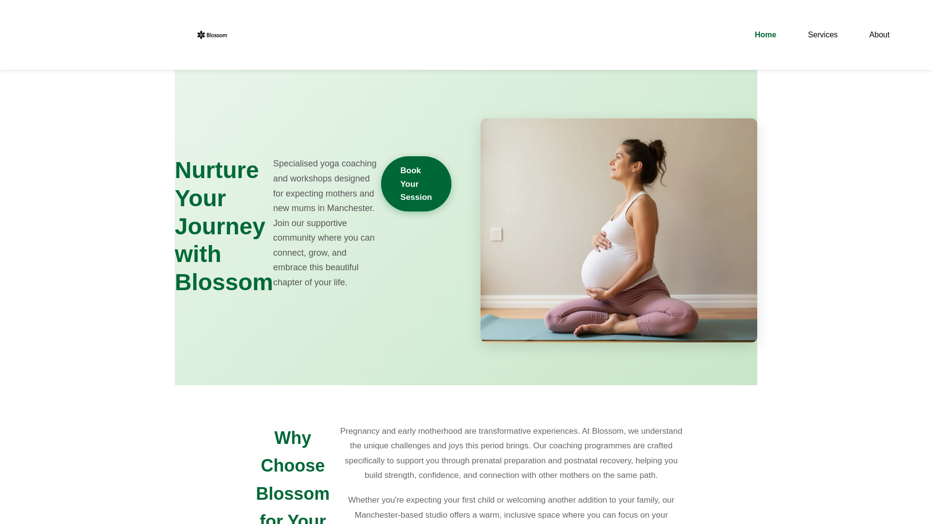 website screenshot of https://zonupodaanalytics.click