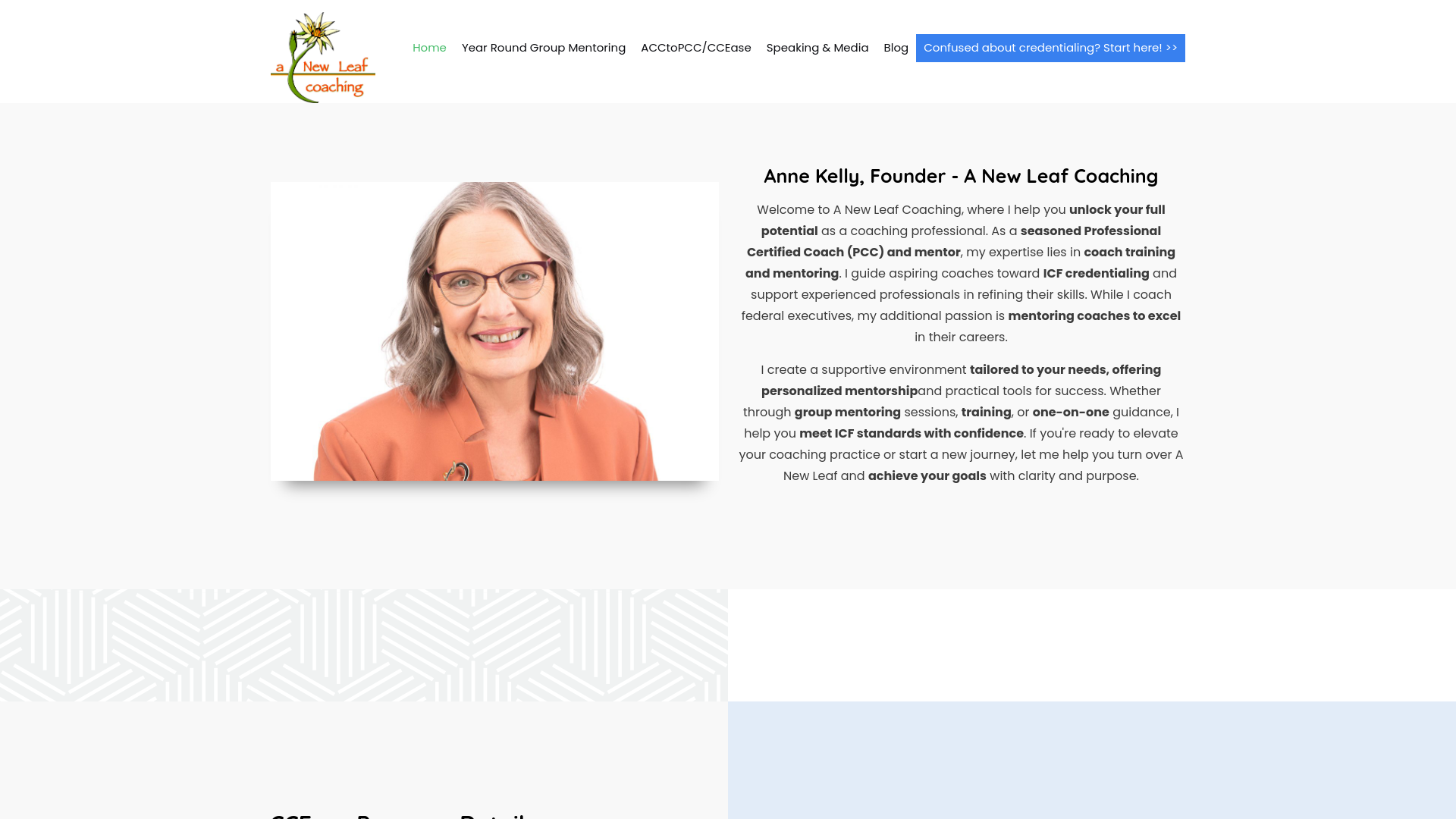 website screenshot of https://mcqgroupmentoring.shop/