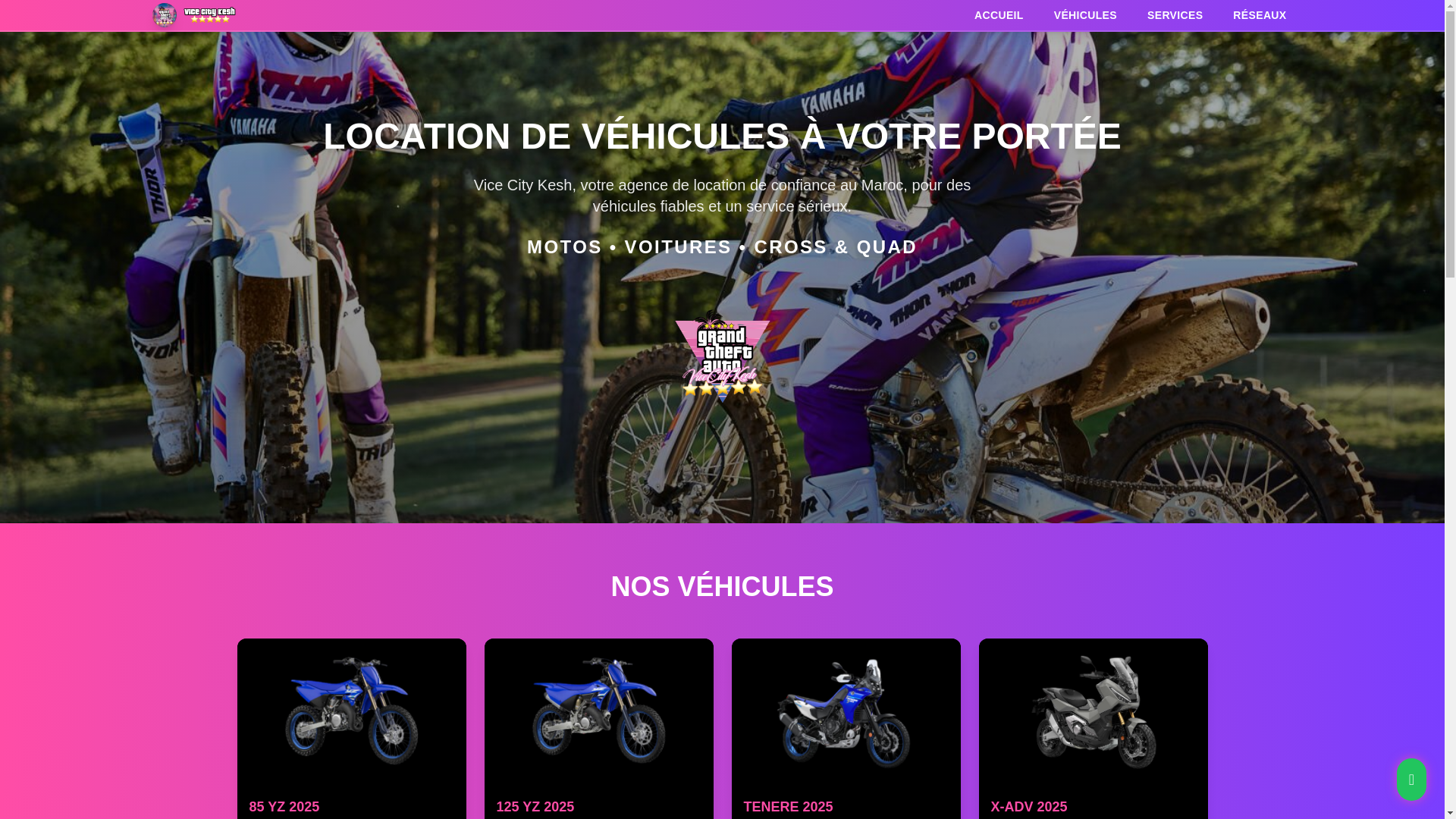 website screenshot of https://vicecitykech.com/