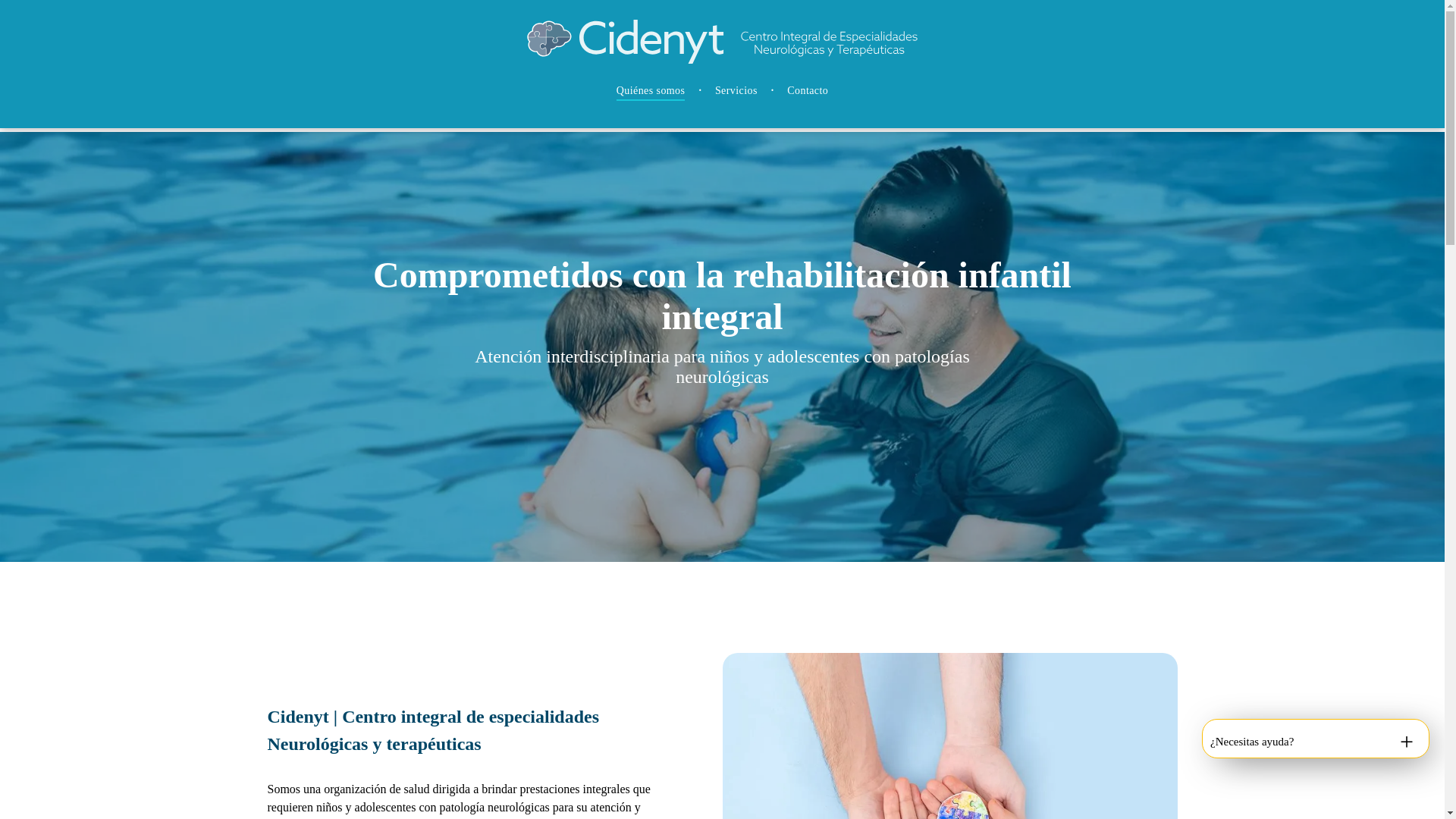 website screenshot of https://cidenyt.com/