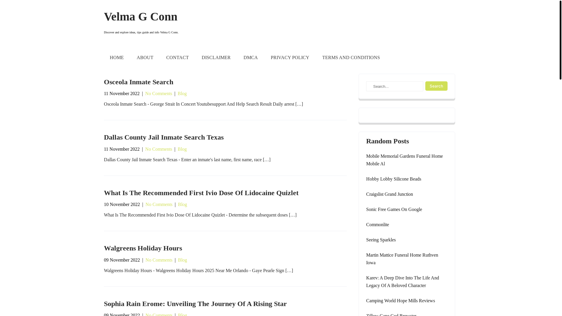 website screenshot of https://velmagconnn.pages.dev/