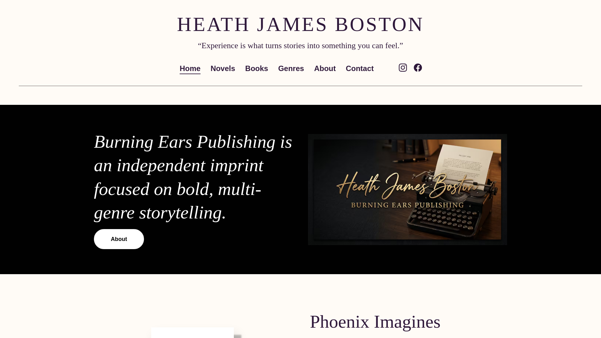 website screenshot of https://heathjboston.com/
