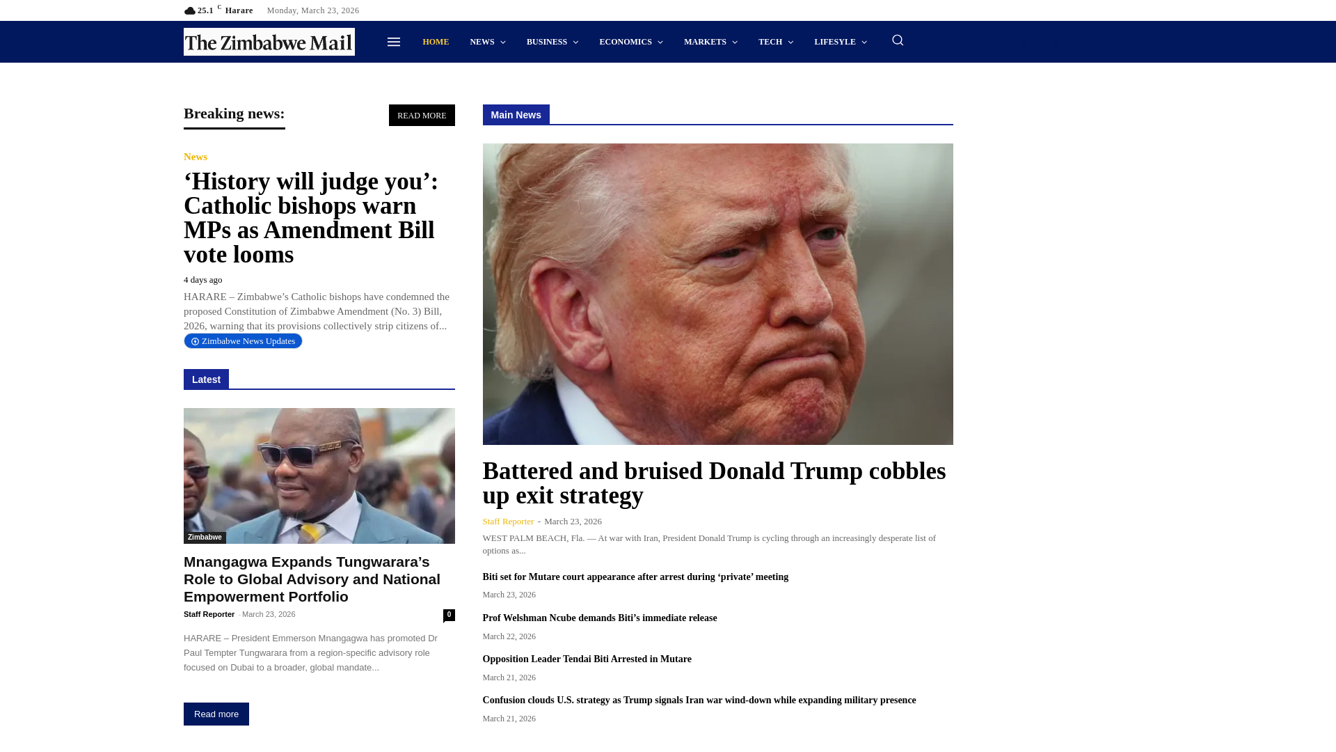 website screenshot of https://thezimbabwemail.com/