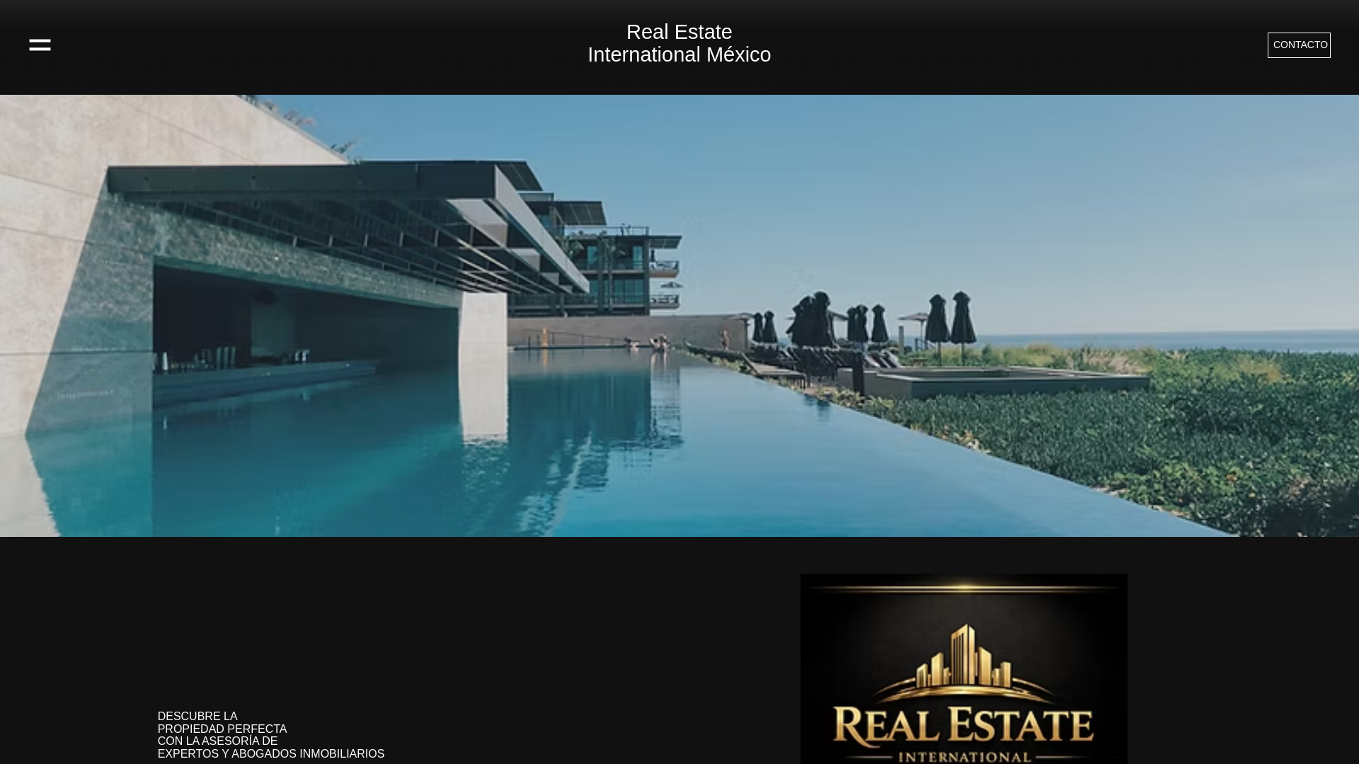 website screenshot of https://realestateinternationalmexico.com/