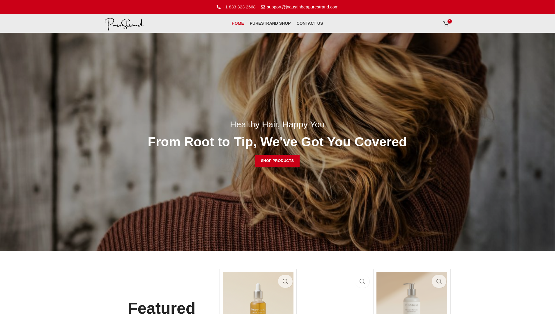 website screenshot of https://jnaustinbeapurestrand.com/