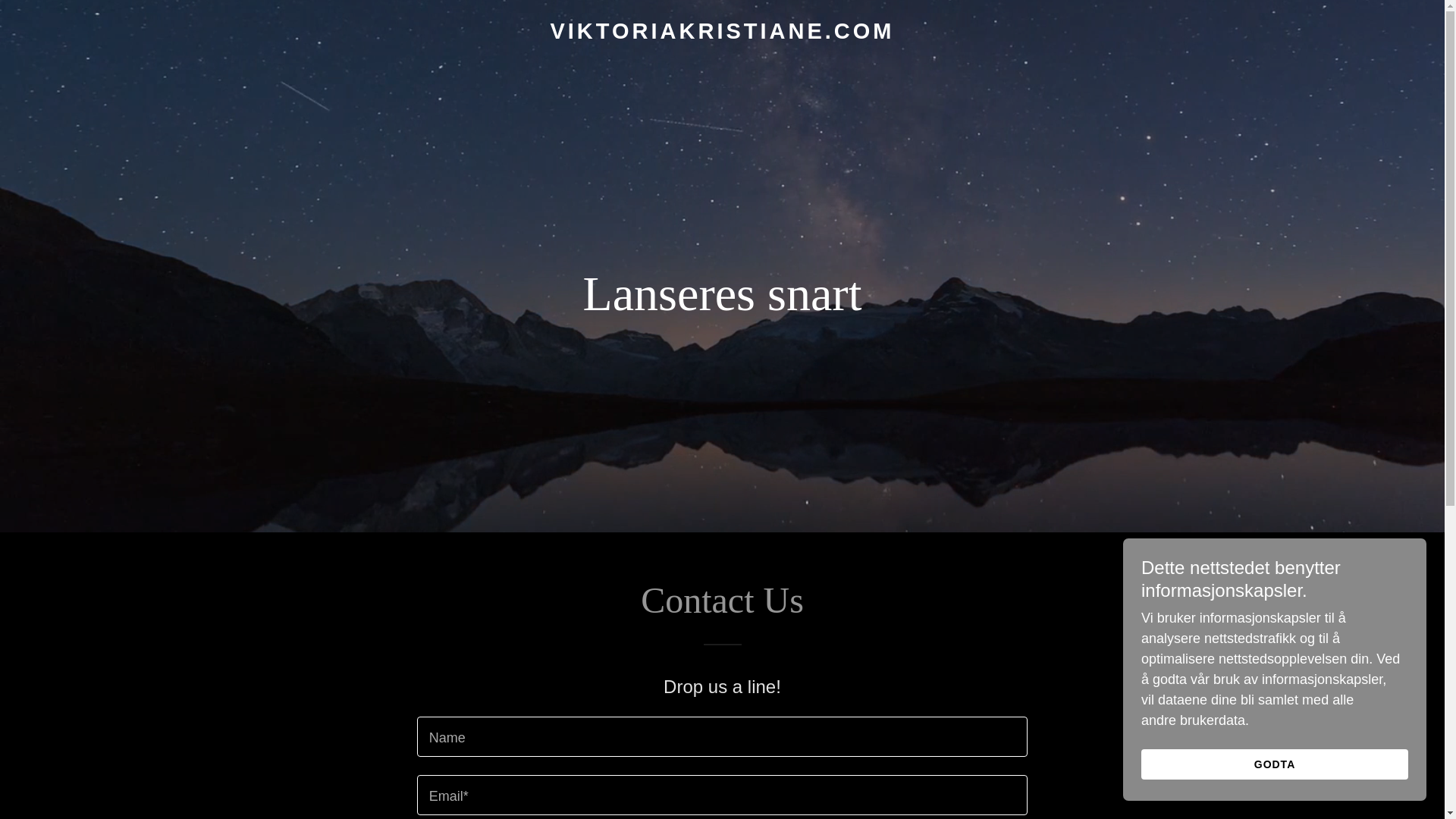 website screenshot of https://viktoriakristiane.com/