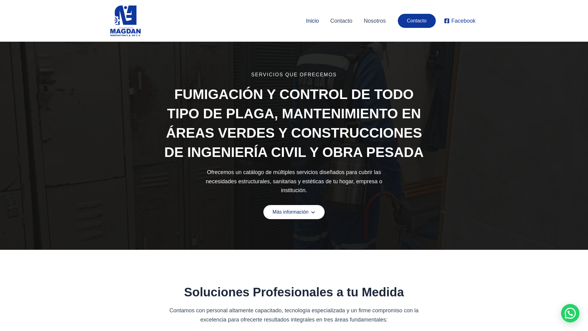 website screenshot of https://magdaninnovation.com/