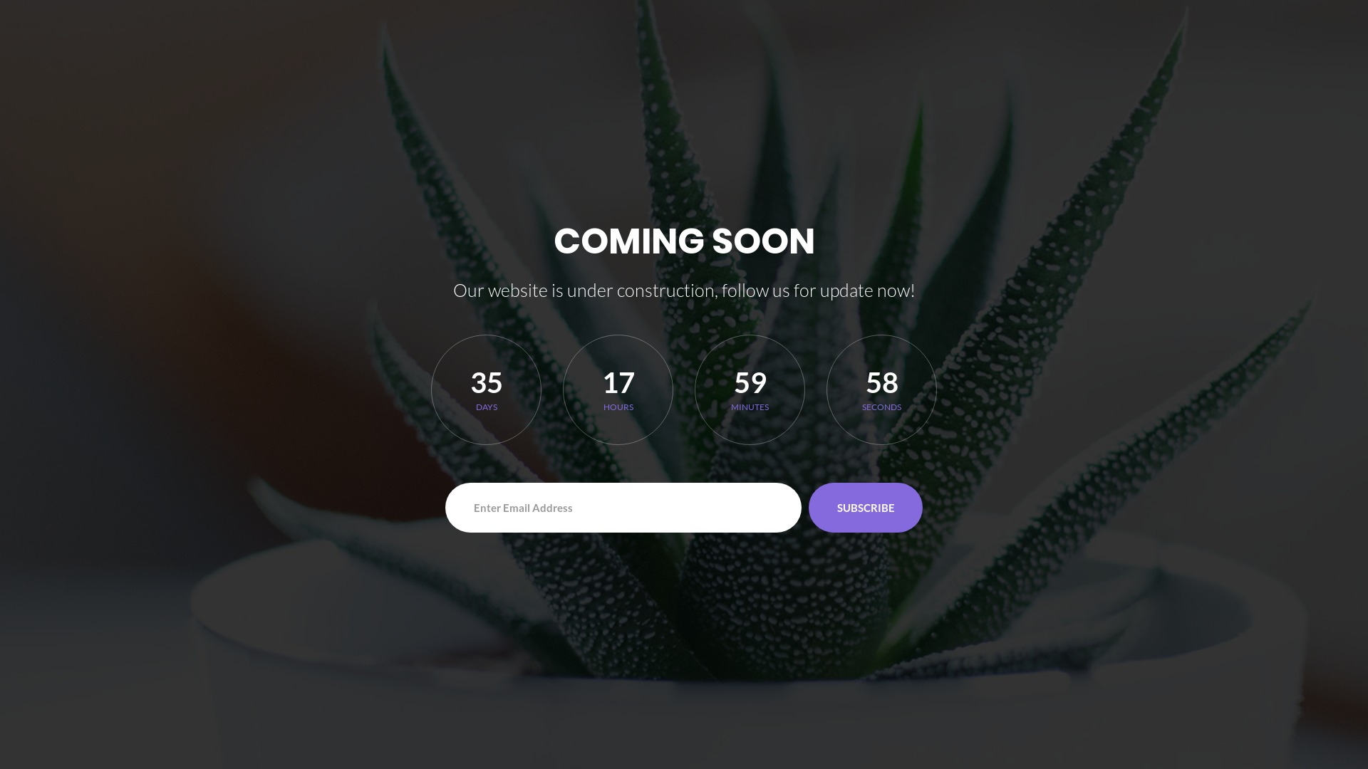 website screenshot of https://homesteadbnk.online/