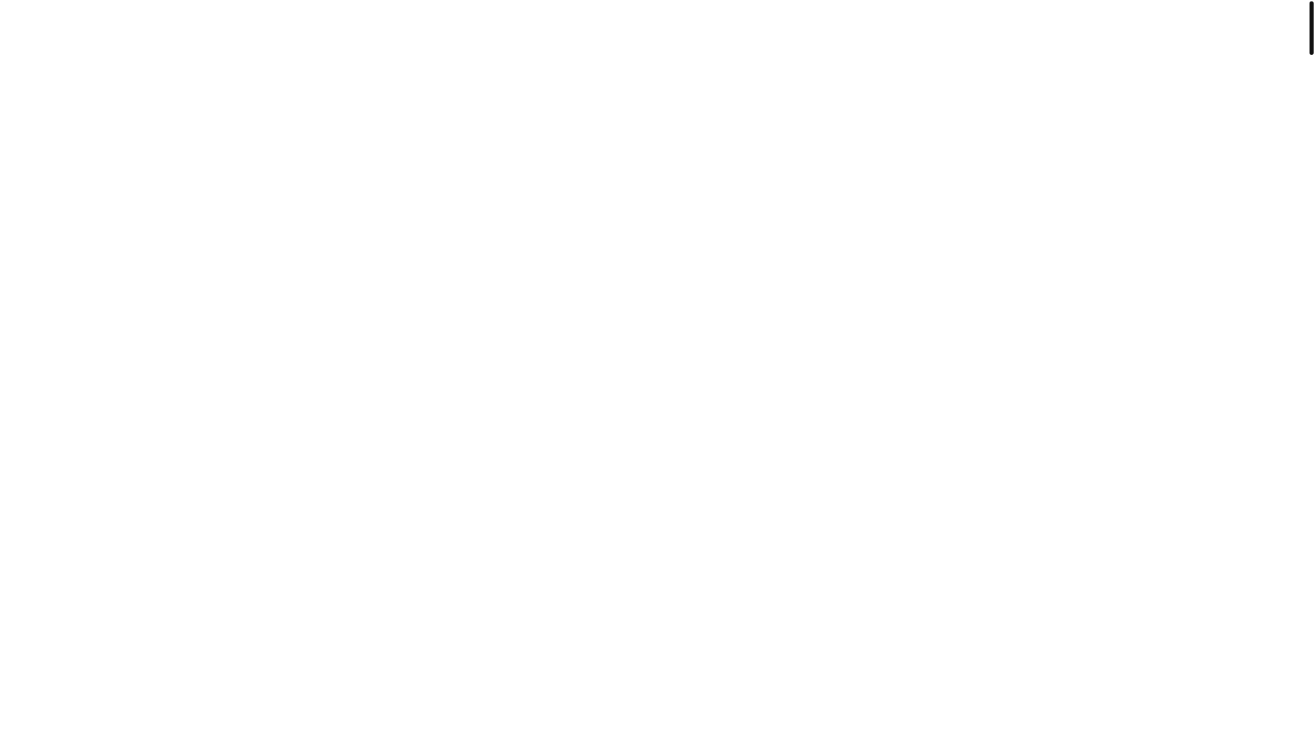 website screenshot of https://auroratermite.com/