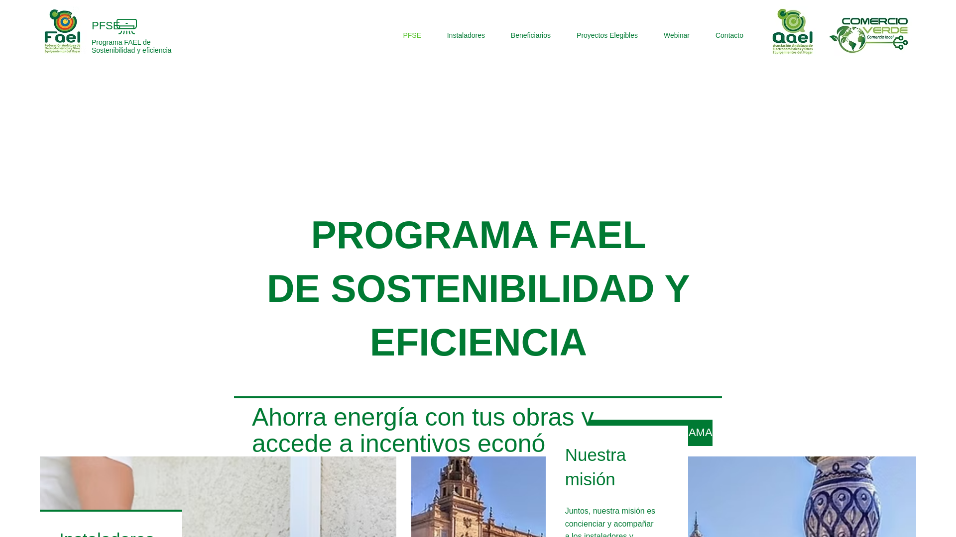 website screenshot of https://fael-gestioncae.es/