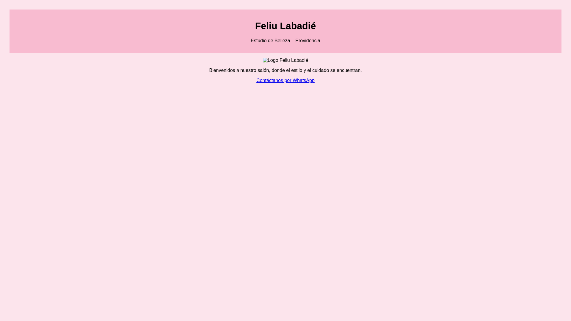 website screenshot of https://feliulabadie.cl/