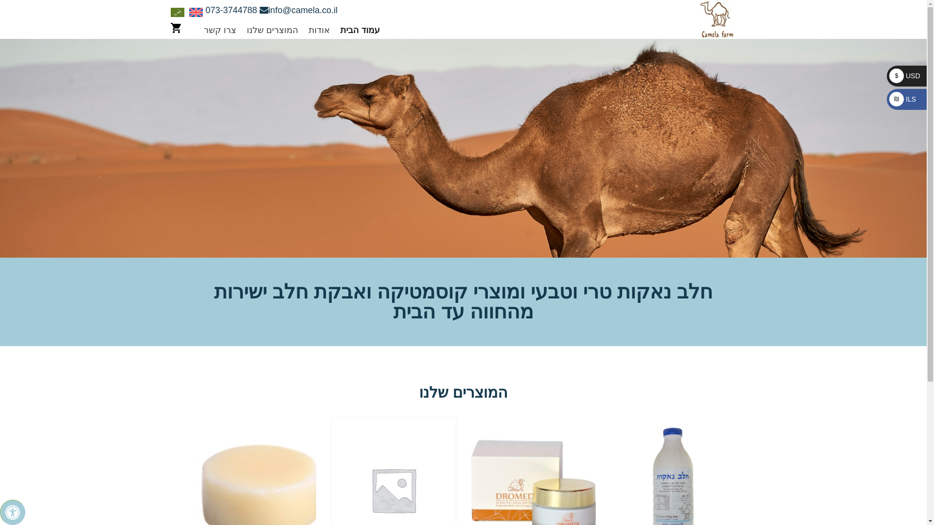 website screenshot of https://camela.co.il/