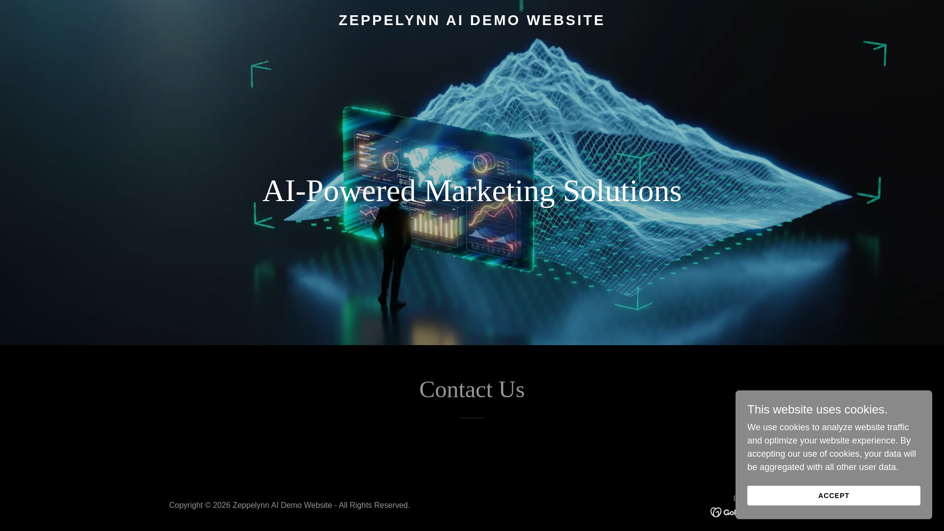 website screenshot of https://zeppelynnaidemo.com/