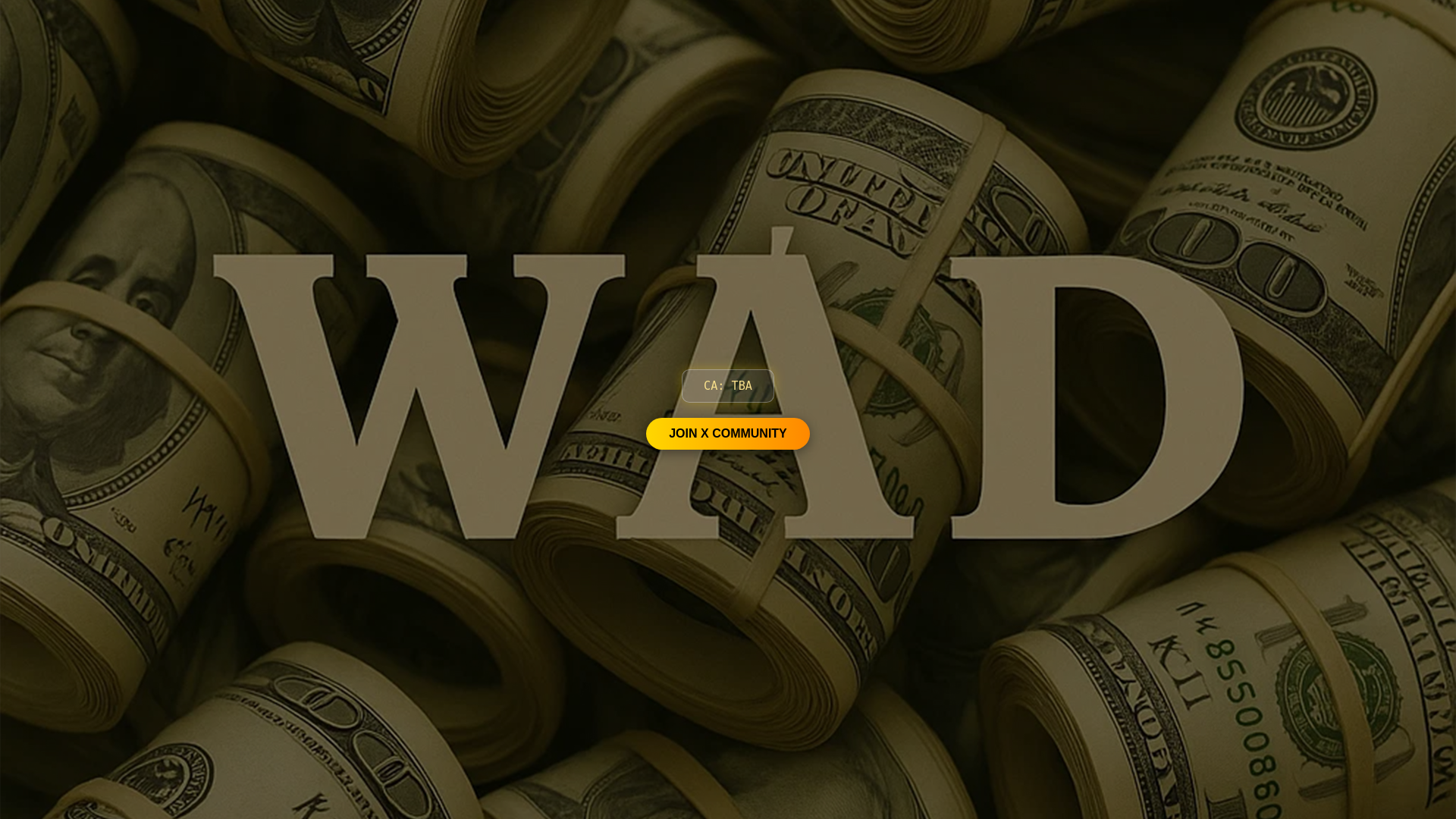 website screenshot of https://wadofcash.xyz/