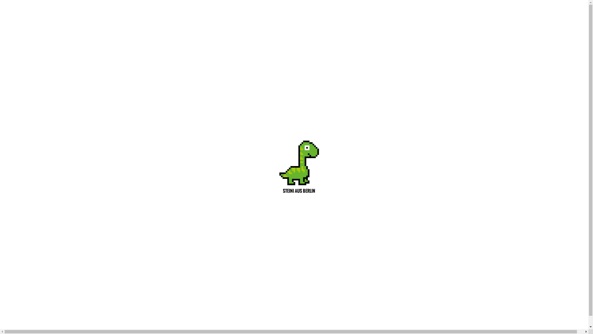 website screenshot of https://steiniausberlin.de/