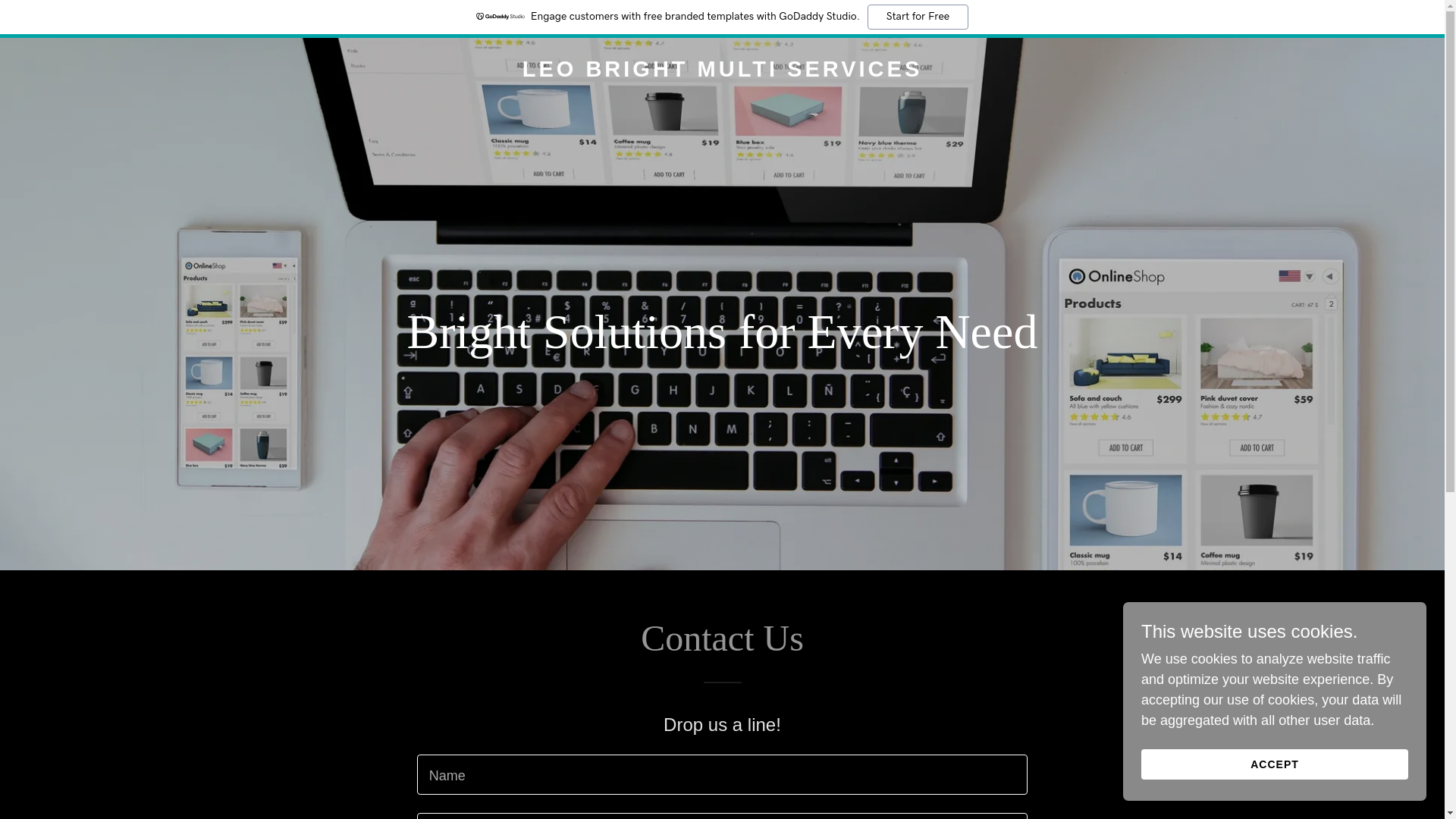 website screenshot of https://leobrightmultiservices.com/