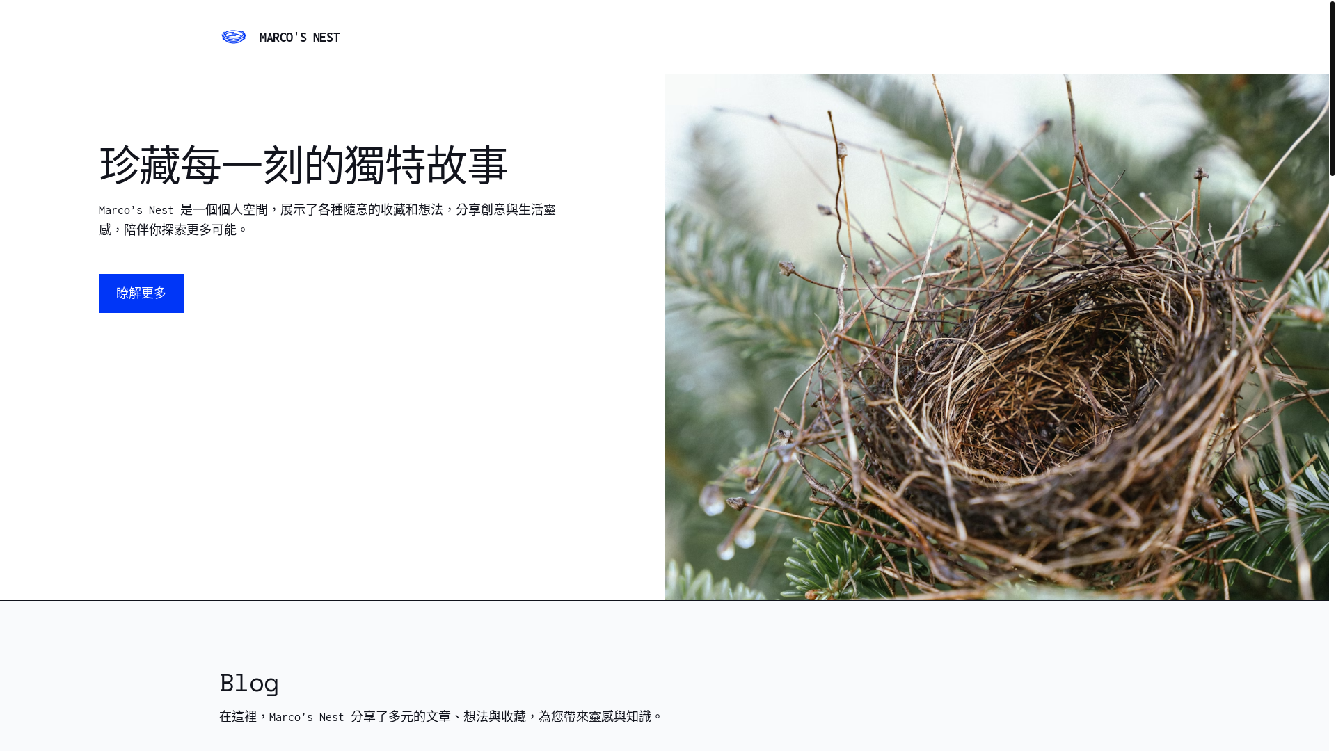website screenshot of https://marconest.cc/