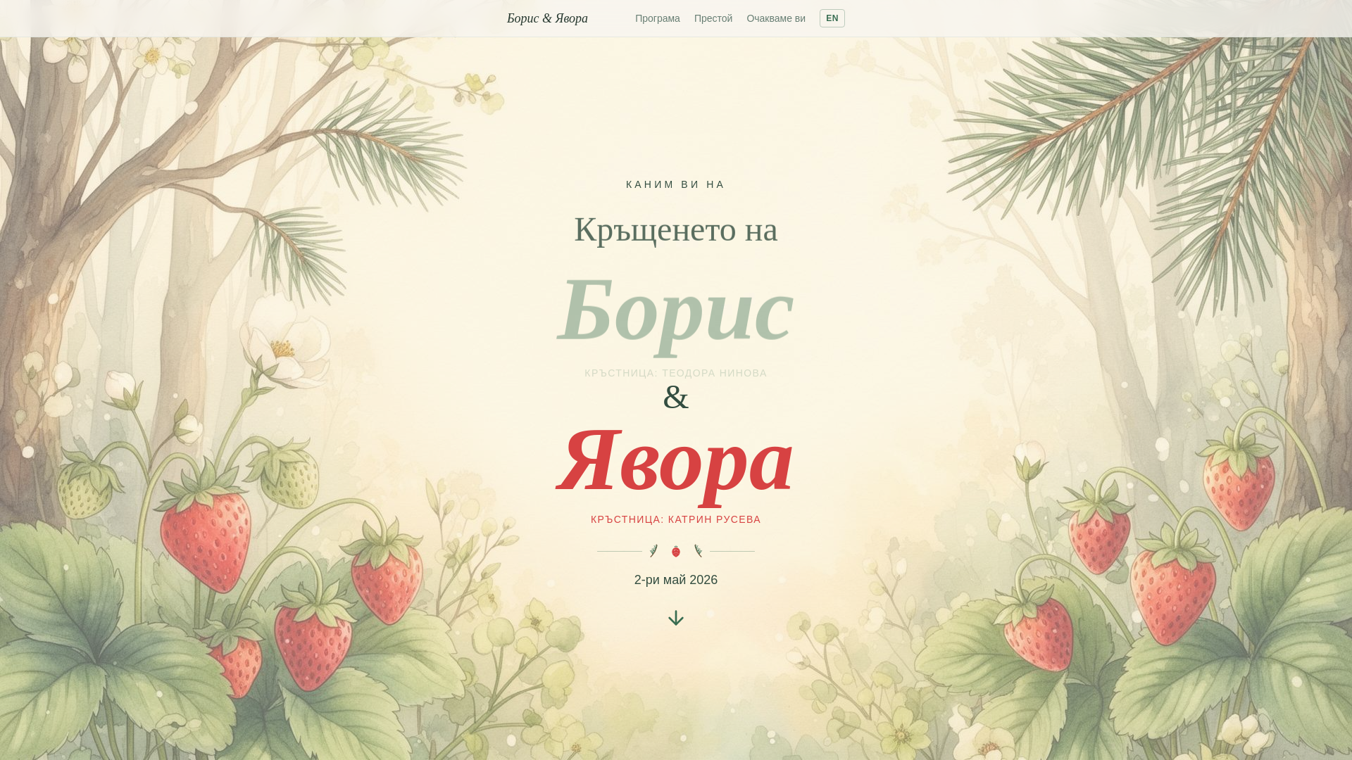 website screenshot of https://borisandyavora.fun/