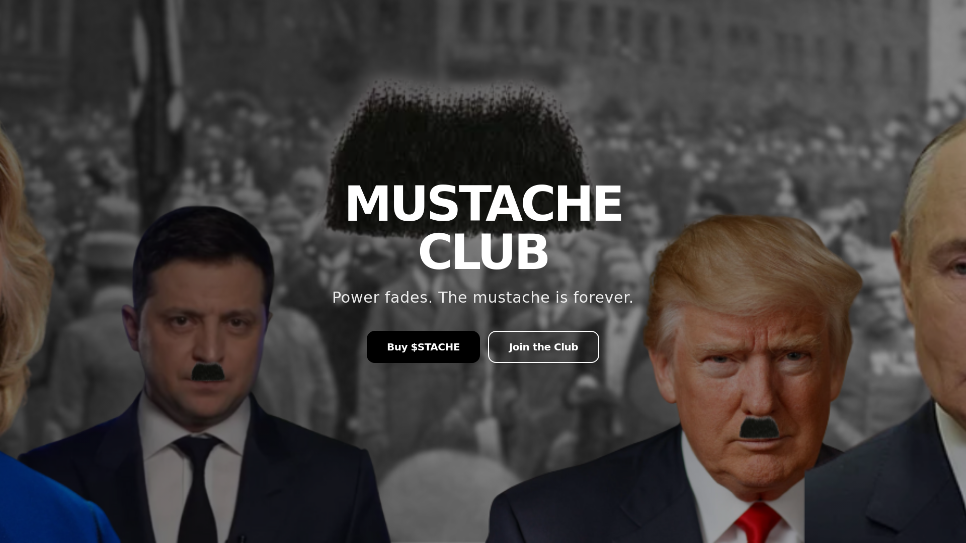 website screenshot of https://stachecoin.fun/