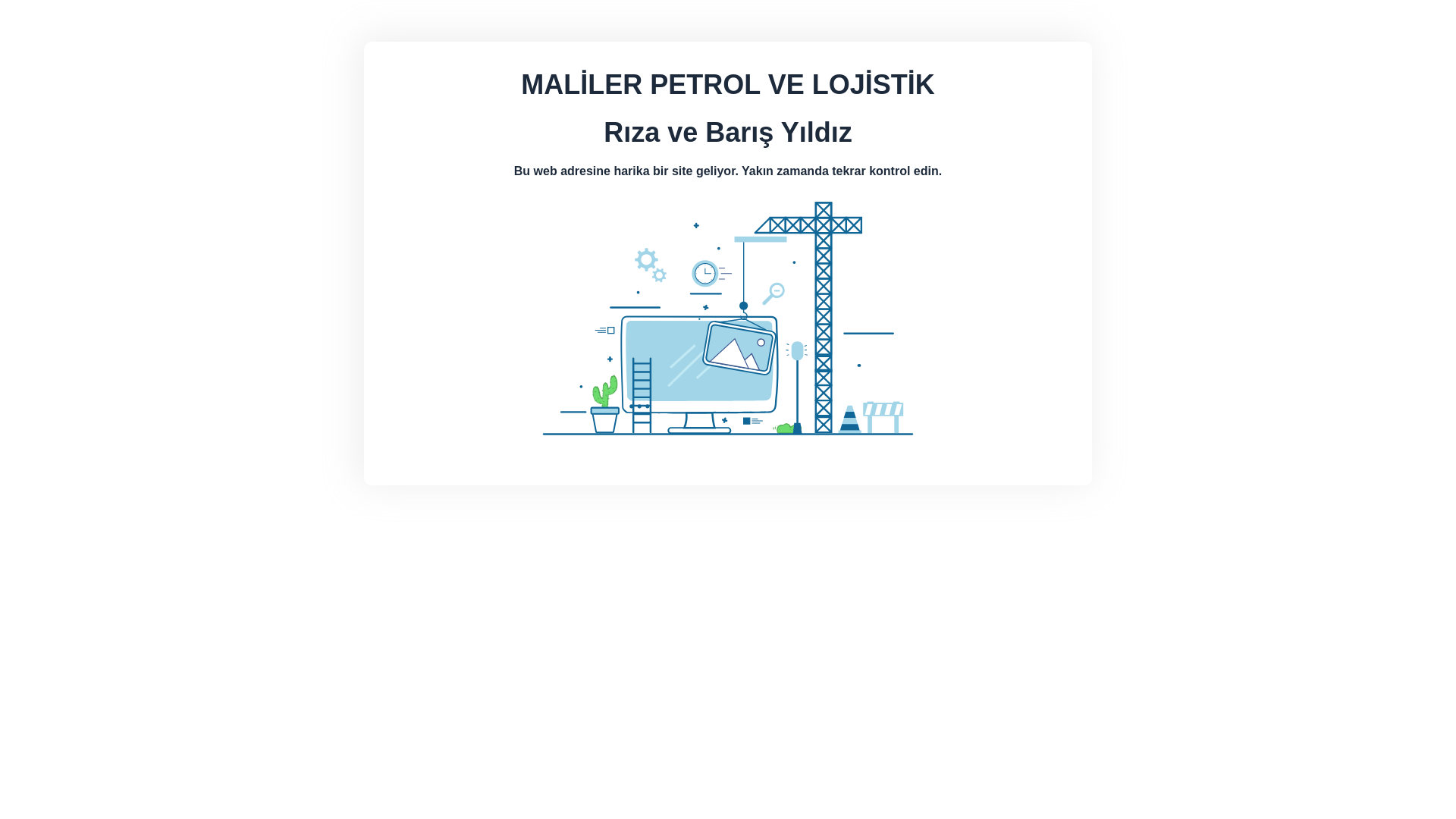 website screenshot of https://malilerlojistik.com/