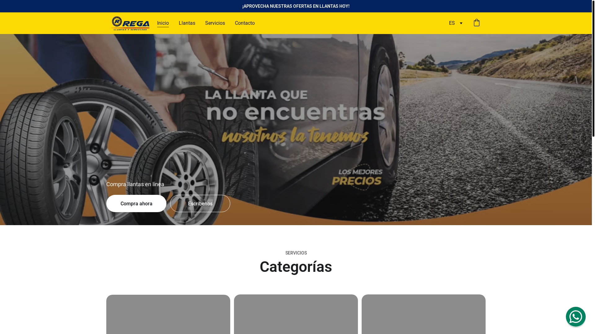 website screenshot of https://regallantasyservicios.com.mx/