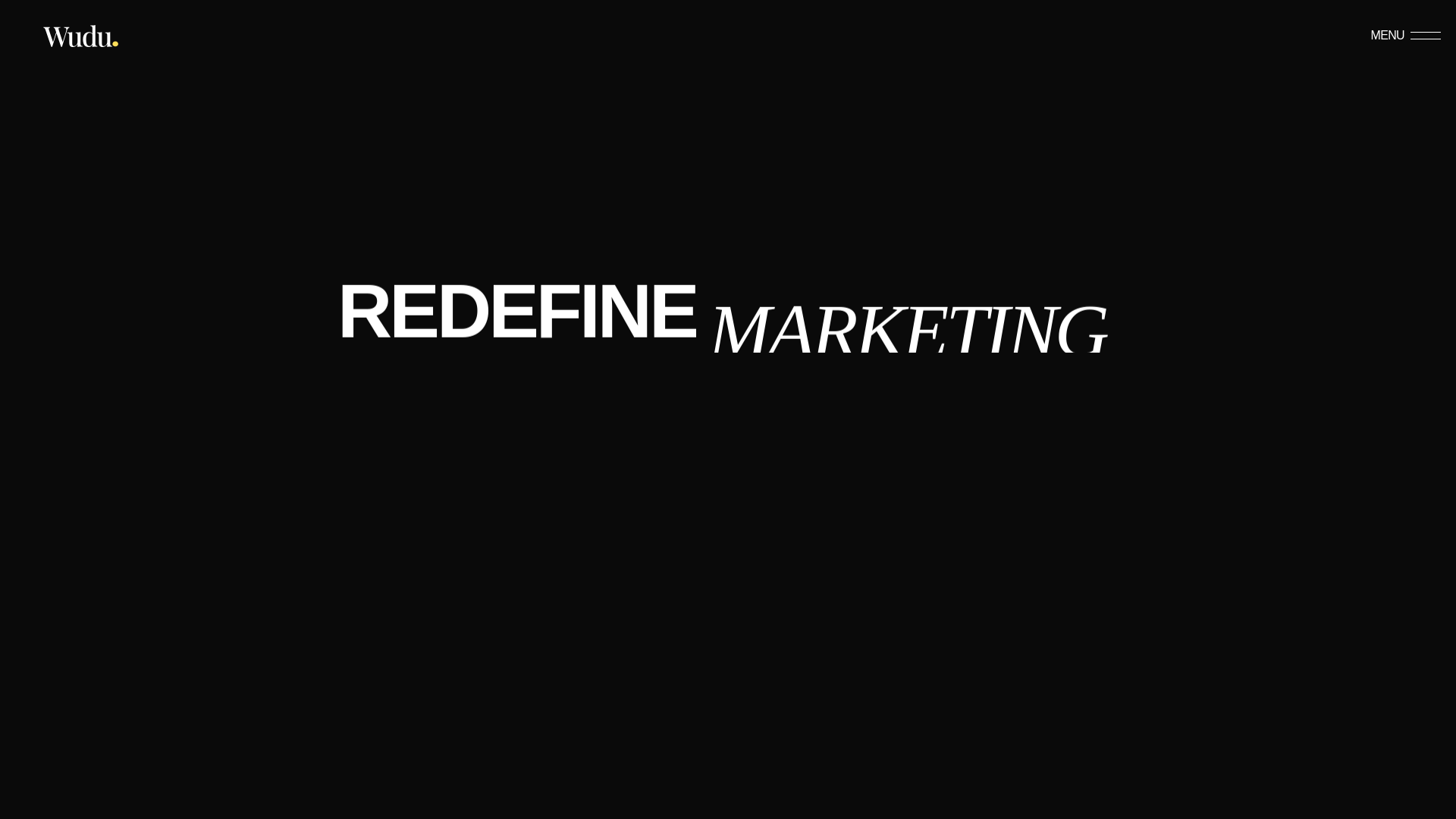 website screenshot of https://wudumarketing.com