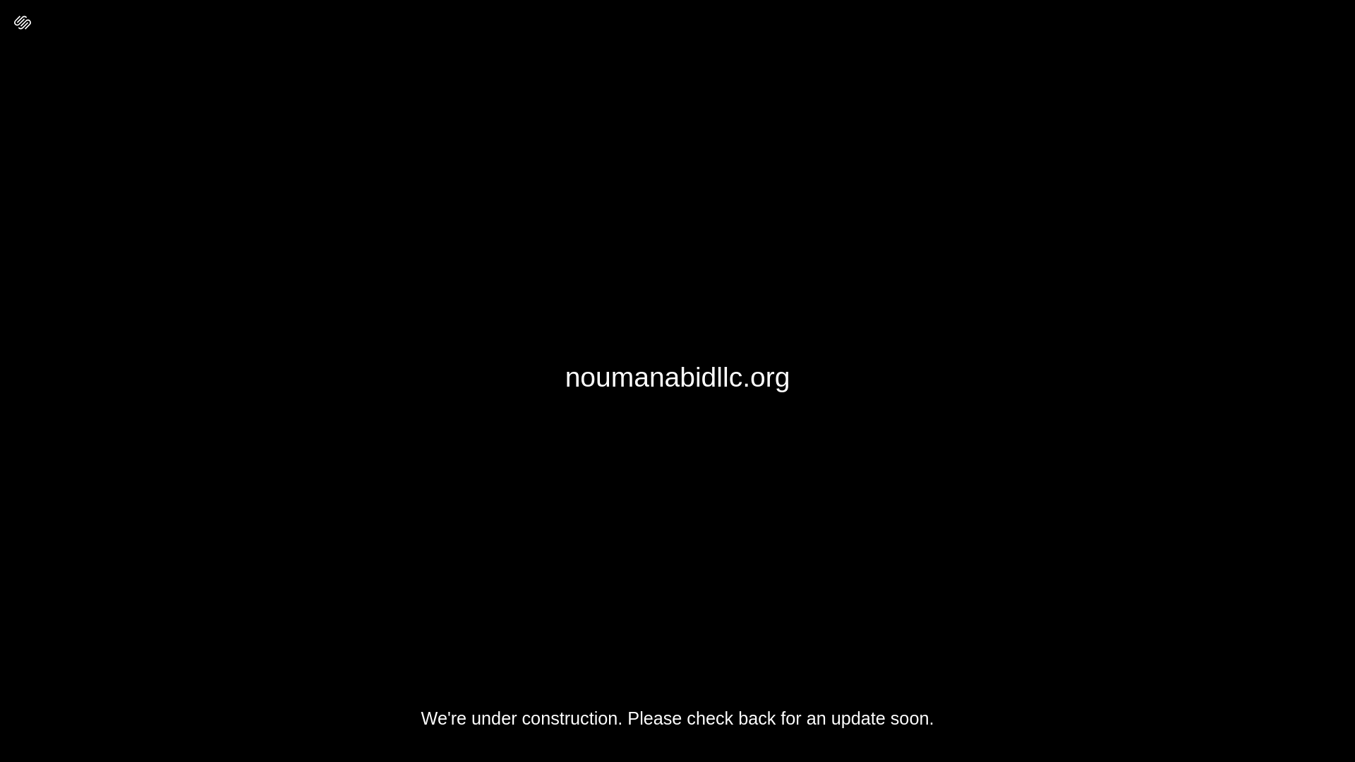 website screenshot of https://noumanabidllc.org/