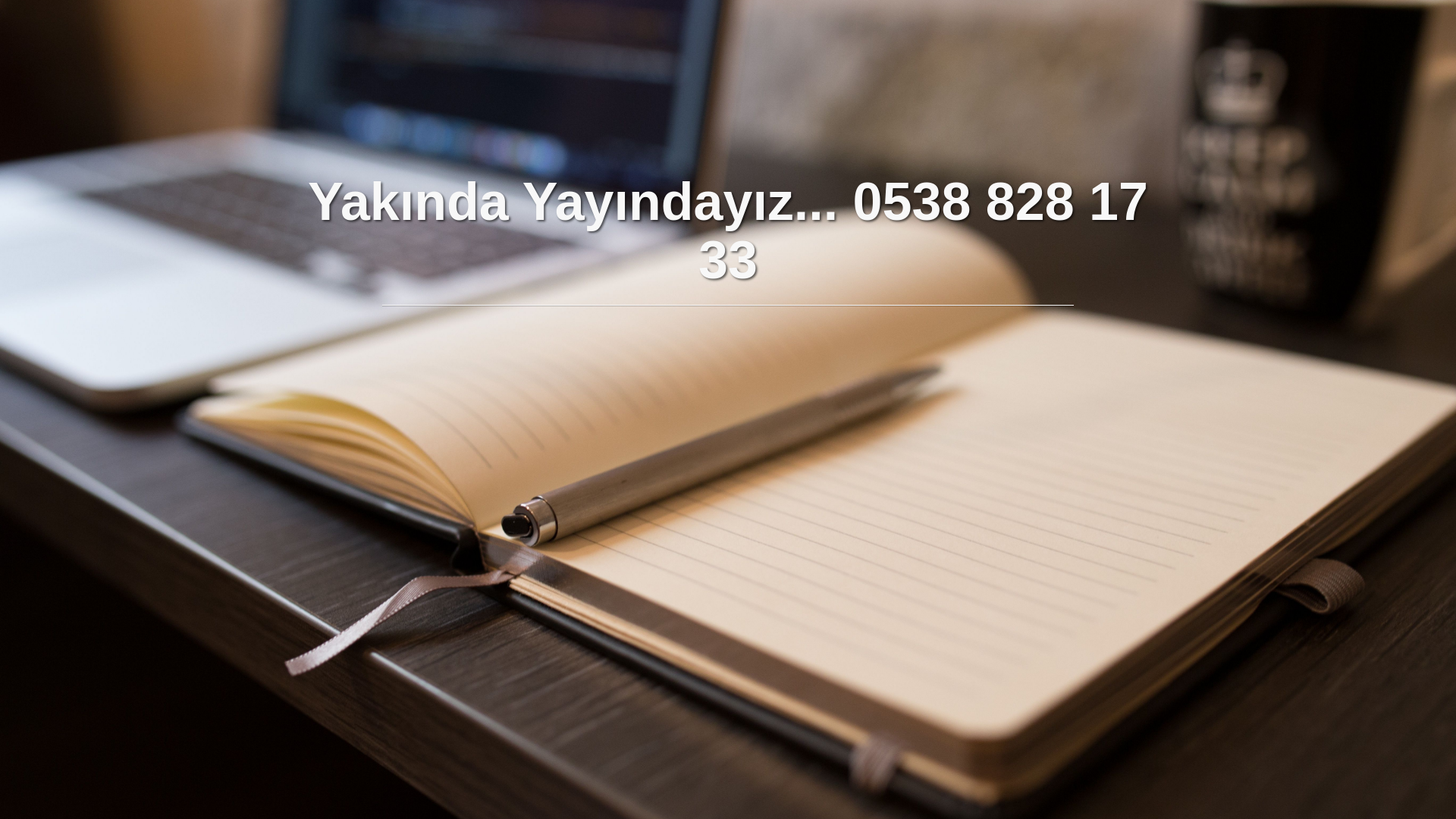 website screenshot of https://sezernakliyatvedepolama.com.tr/
