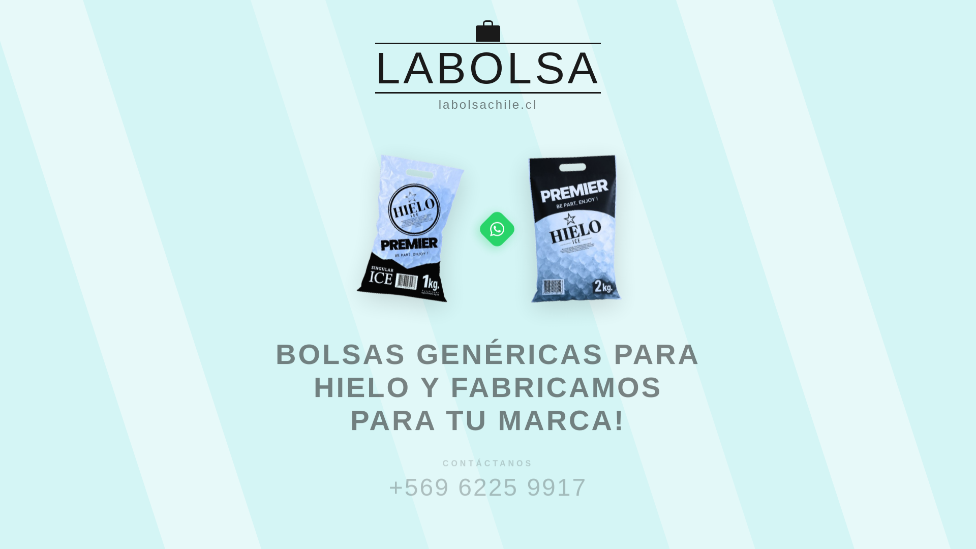 website screenshot of https://labolsachile.cl/