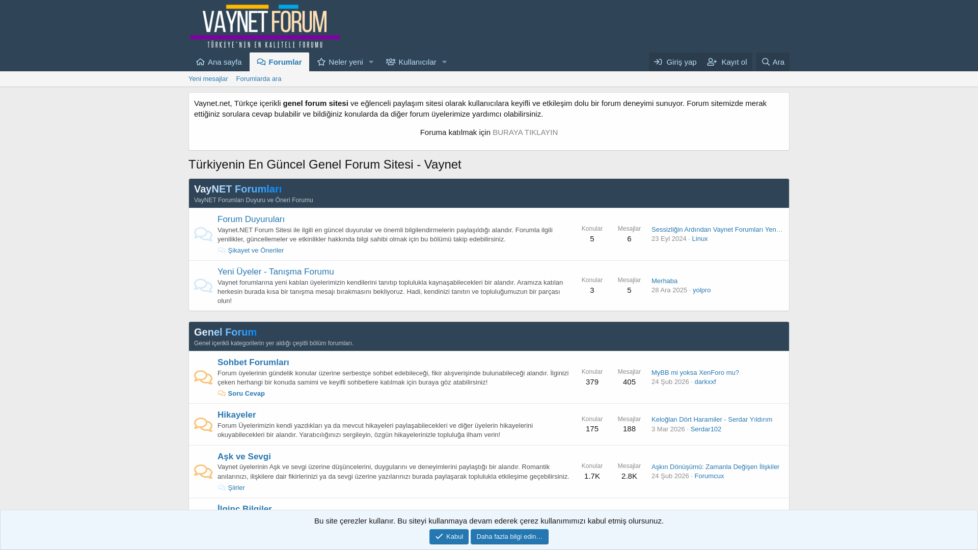 website screenshot of https://vaynet.net