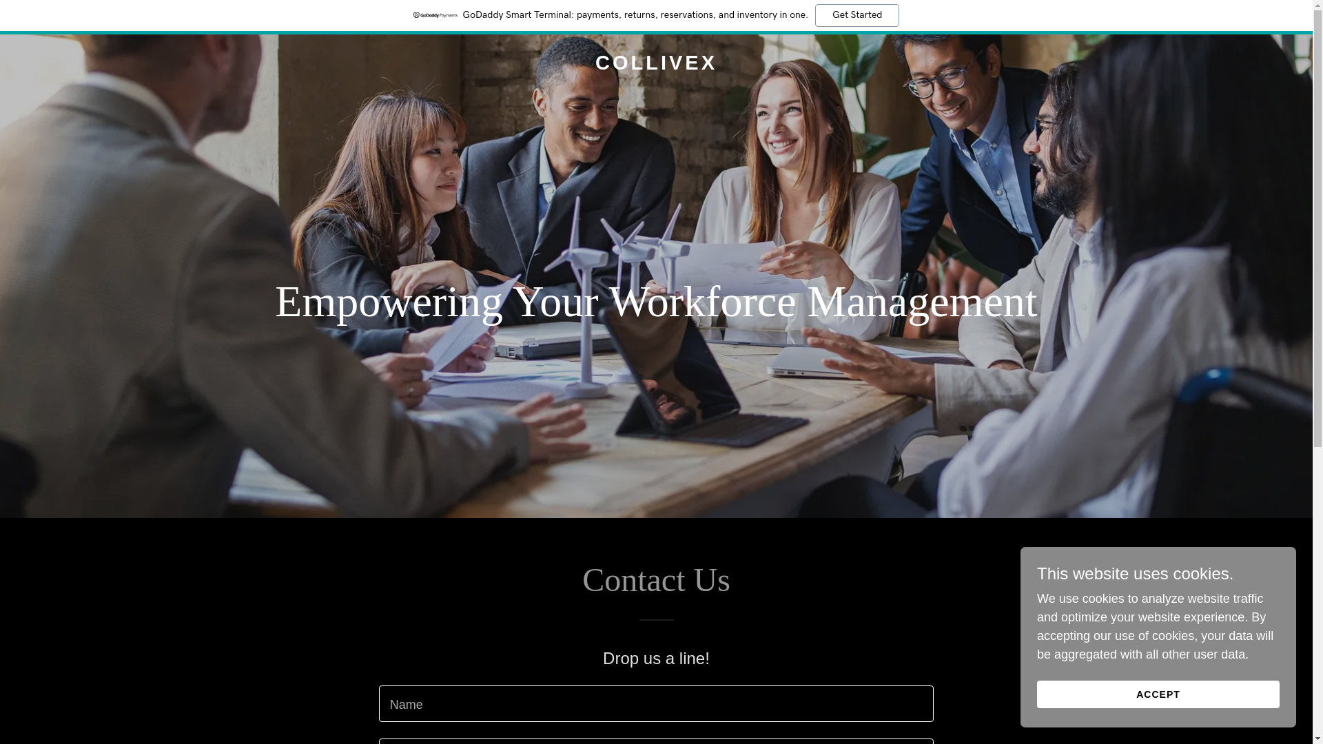 website screenshot of https://collivex.com/