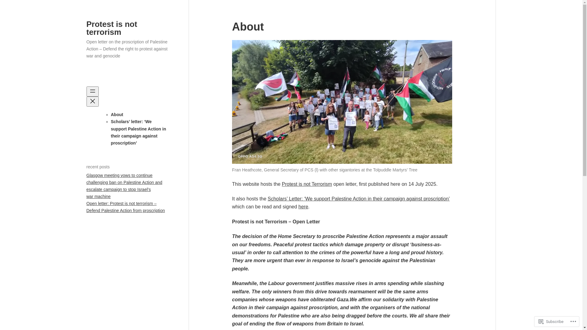 website screenshot of https://protestisnotterrorism.uk/