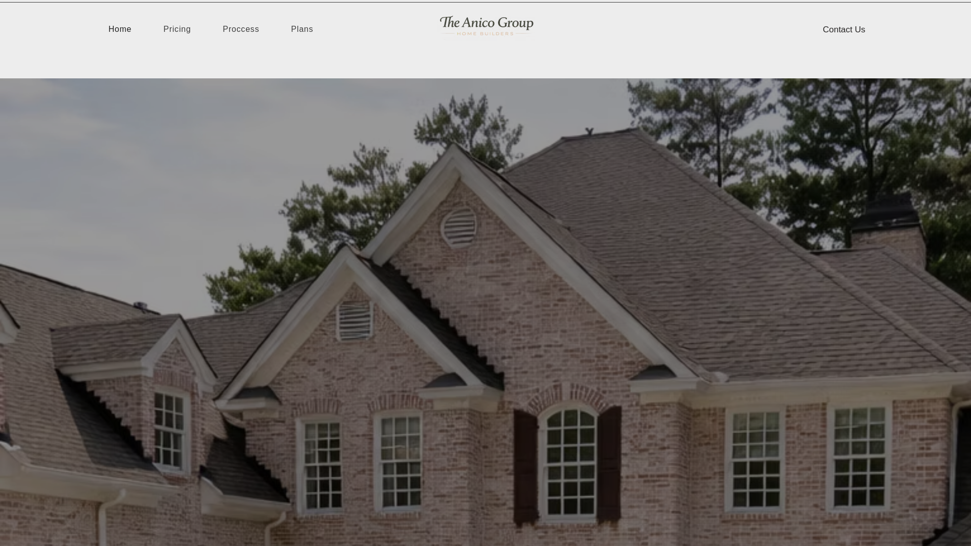 website screenshot of https://theanicogroup.com/